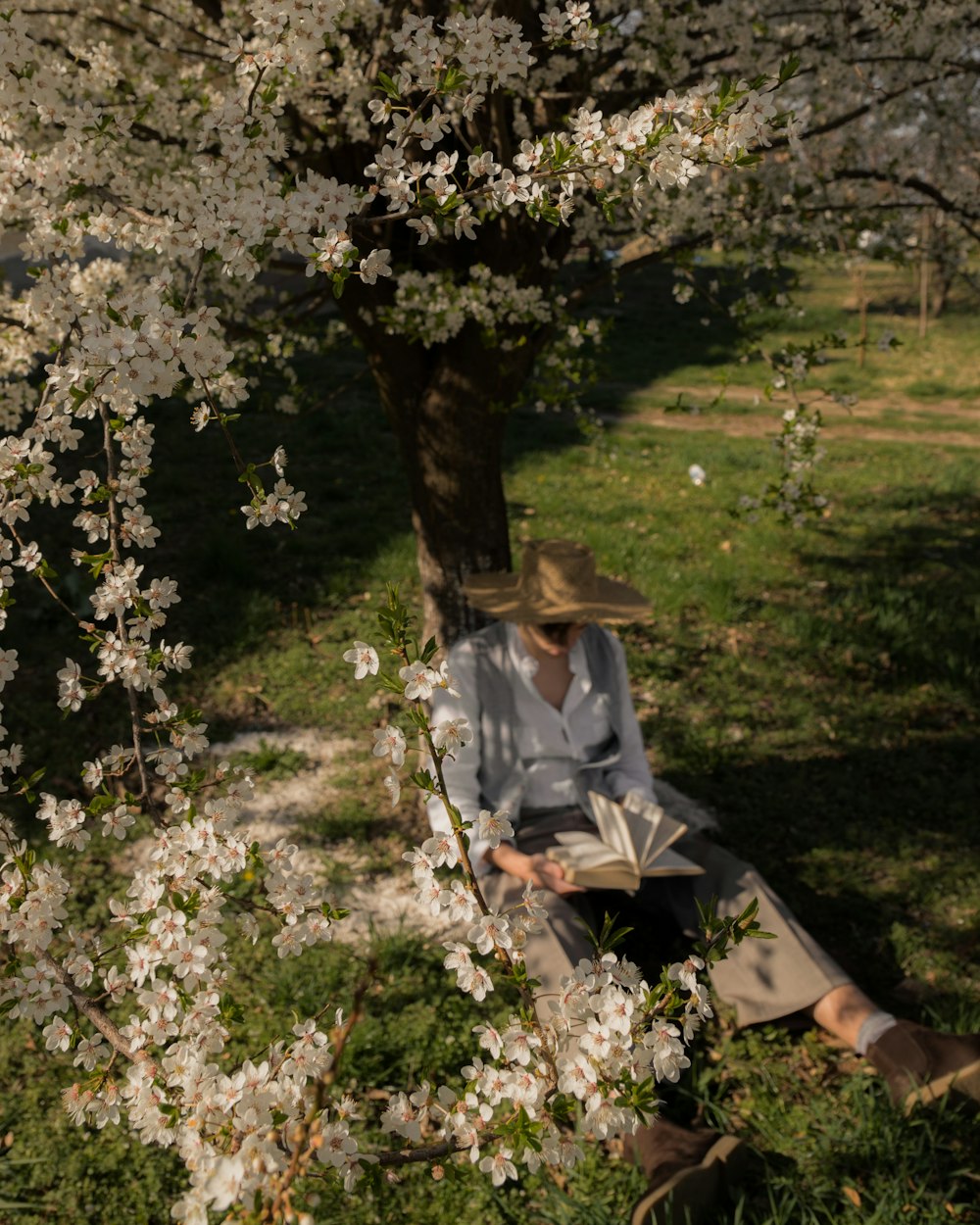 a man sitting under a tree reading a book