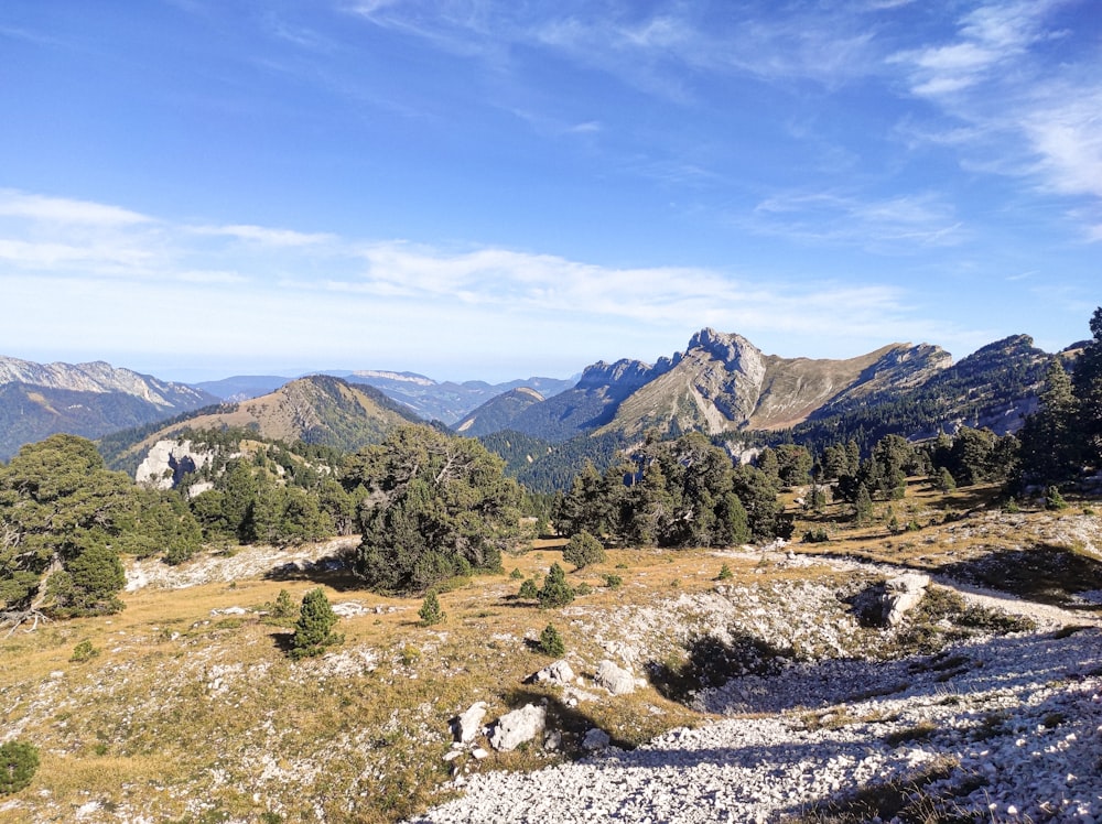 Una vista de una cadena montañosa con árboles y rocas
