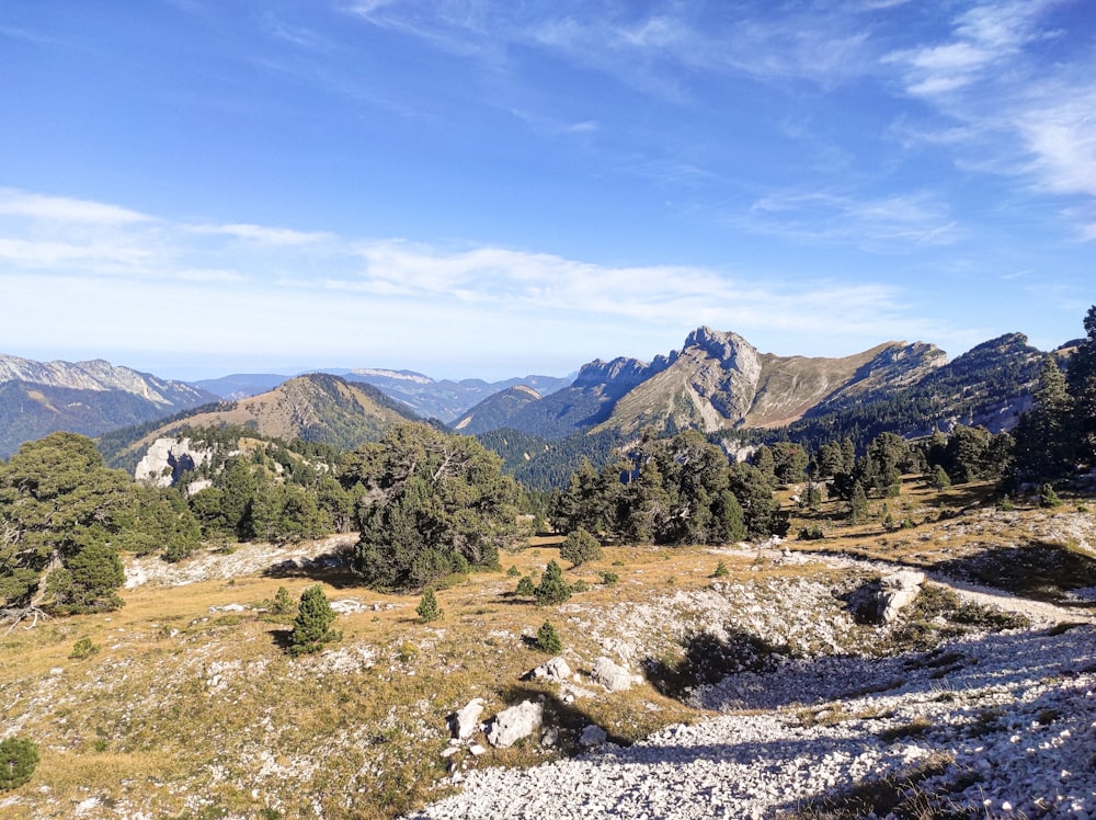 a view of a mountain range with trees and rocks