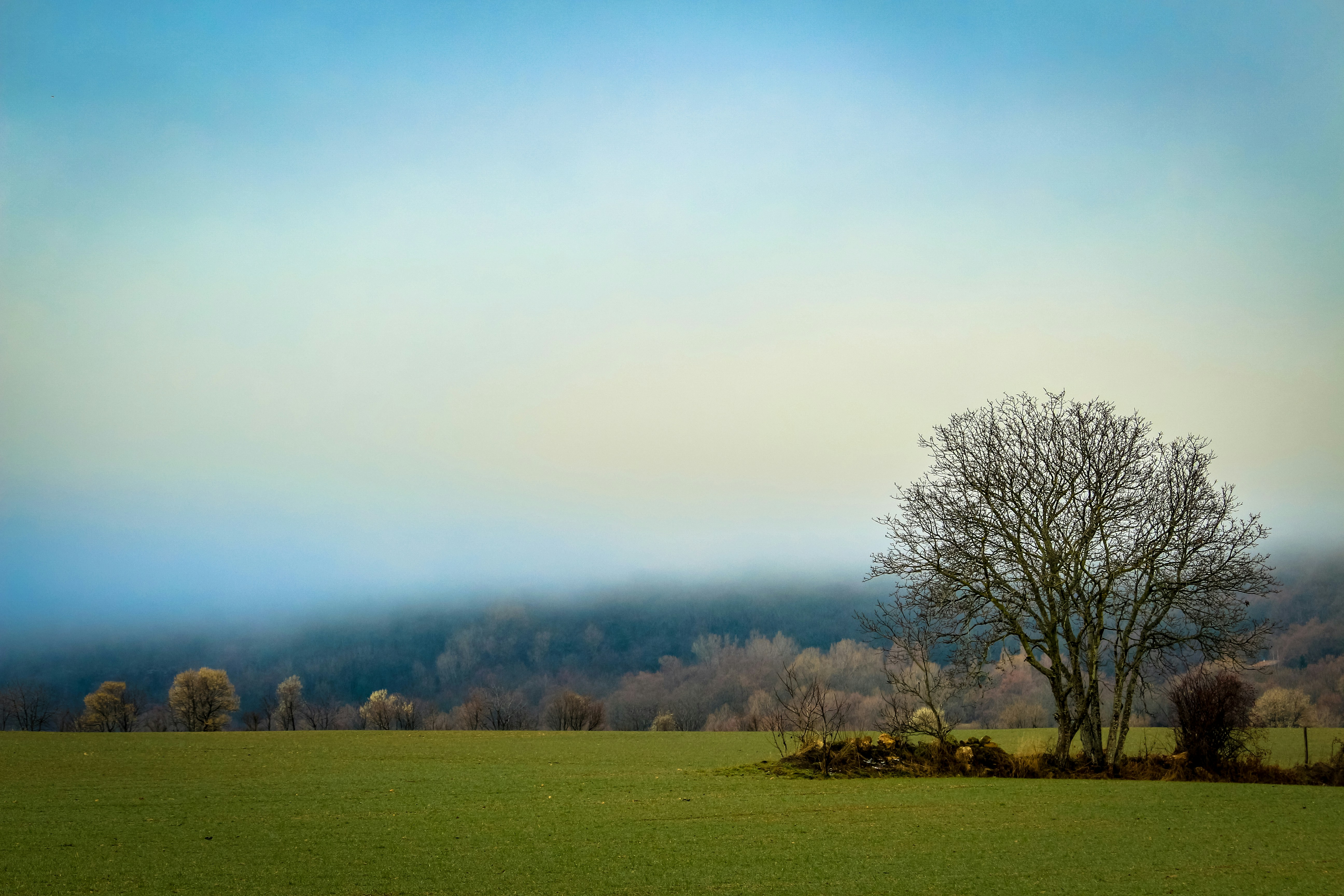 Photo by nicolasbarbier_photographies