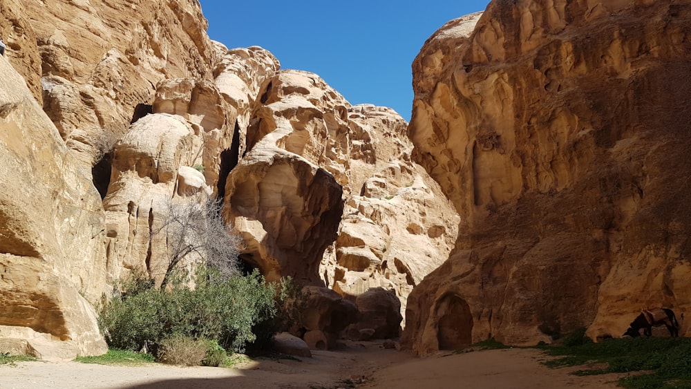 a group of people walking through a narrow canyon