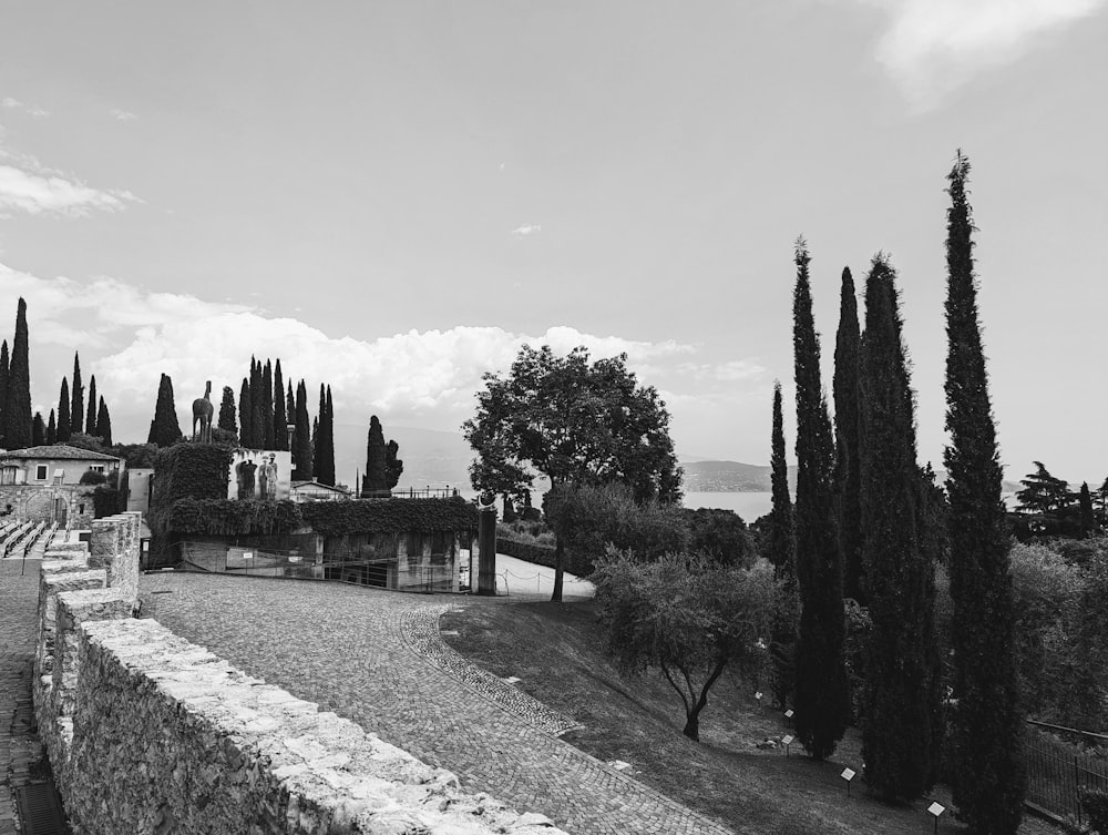 a black and white photo of trees and a building