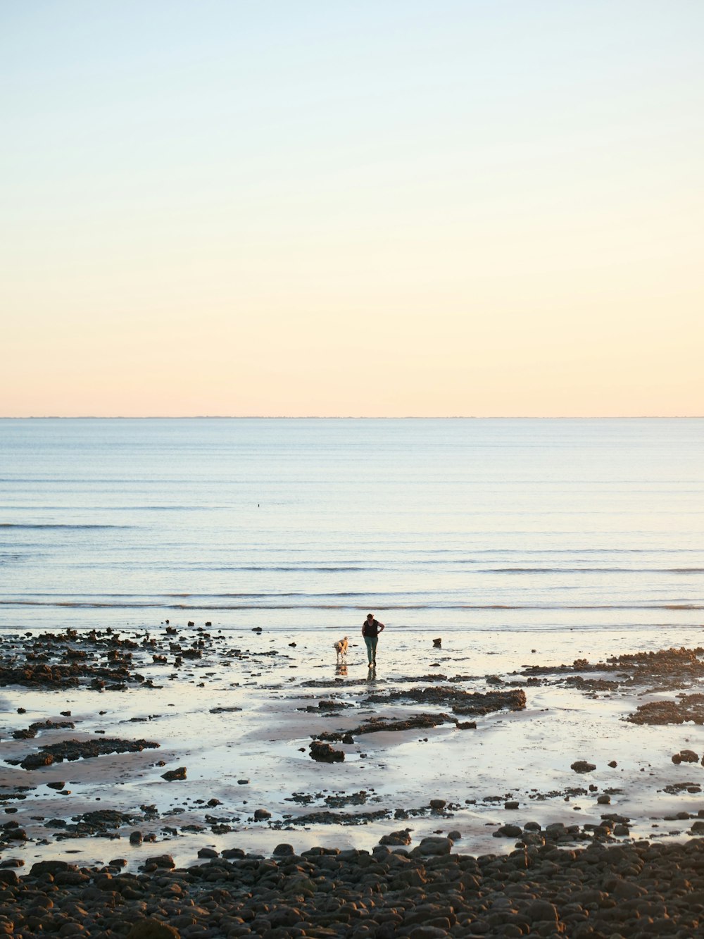 a couple of people standing on top of a rocky beach