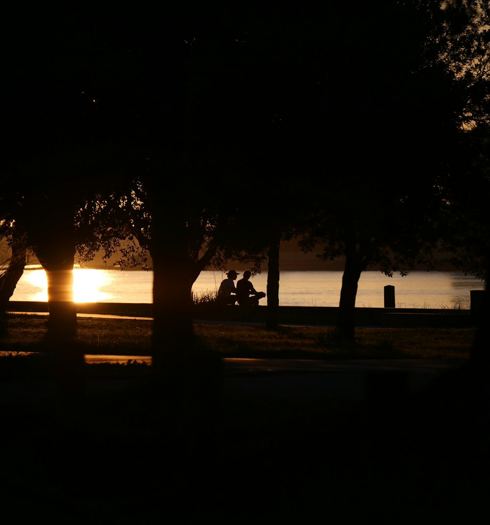 a couple of people sitting on a bench under a tree