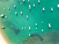 a group of boats floating on top of a body of water