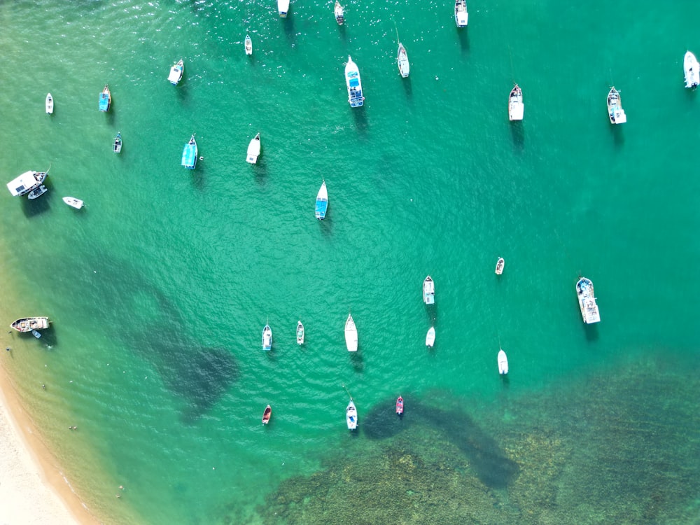 Un grupo de botes flotando sobre un cuerpo de agua