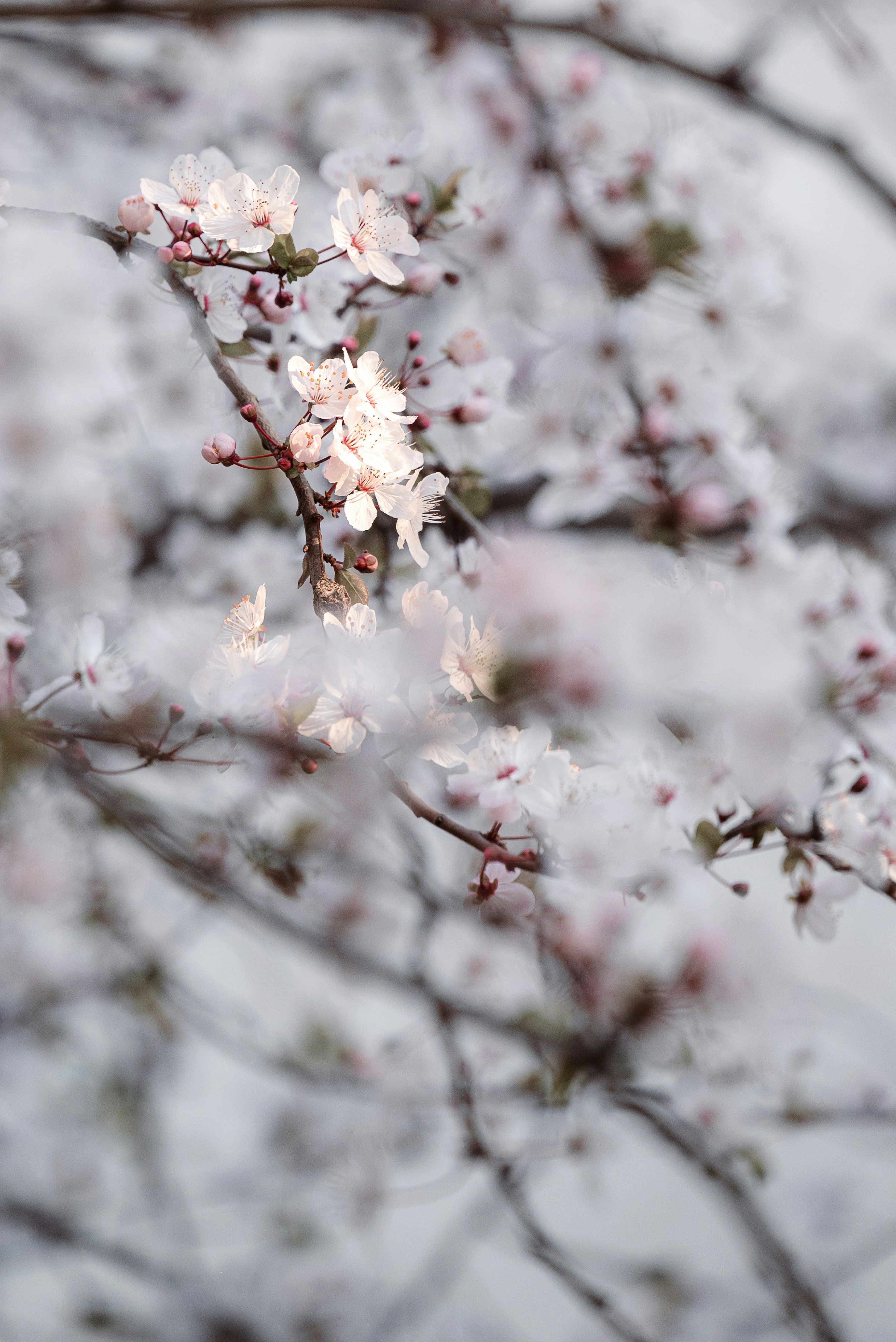 Photo by jetztabertempo