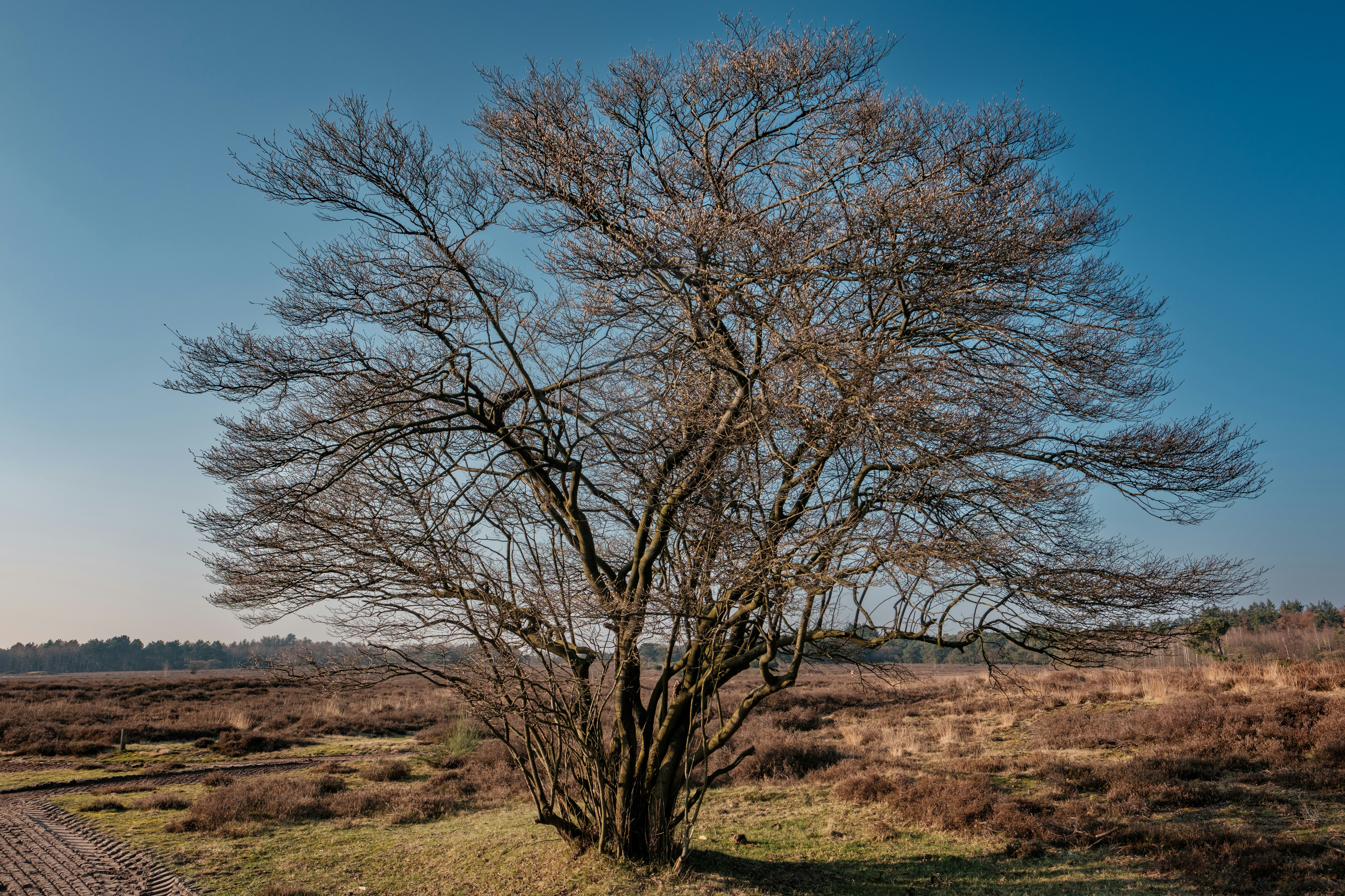 Photo by haberdoedas2