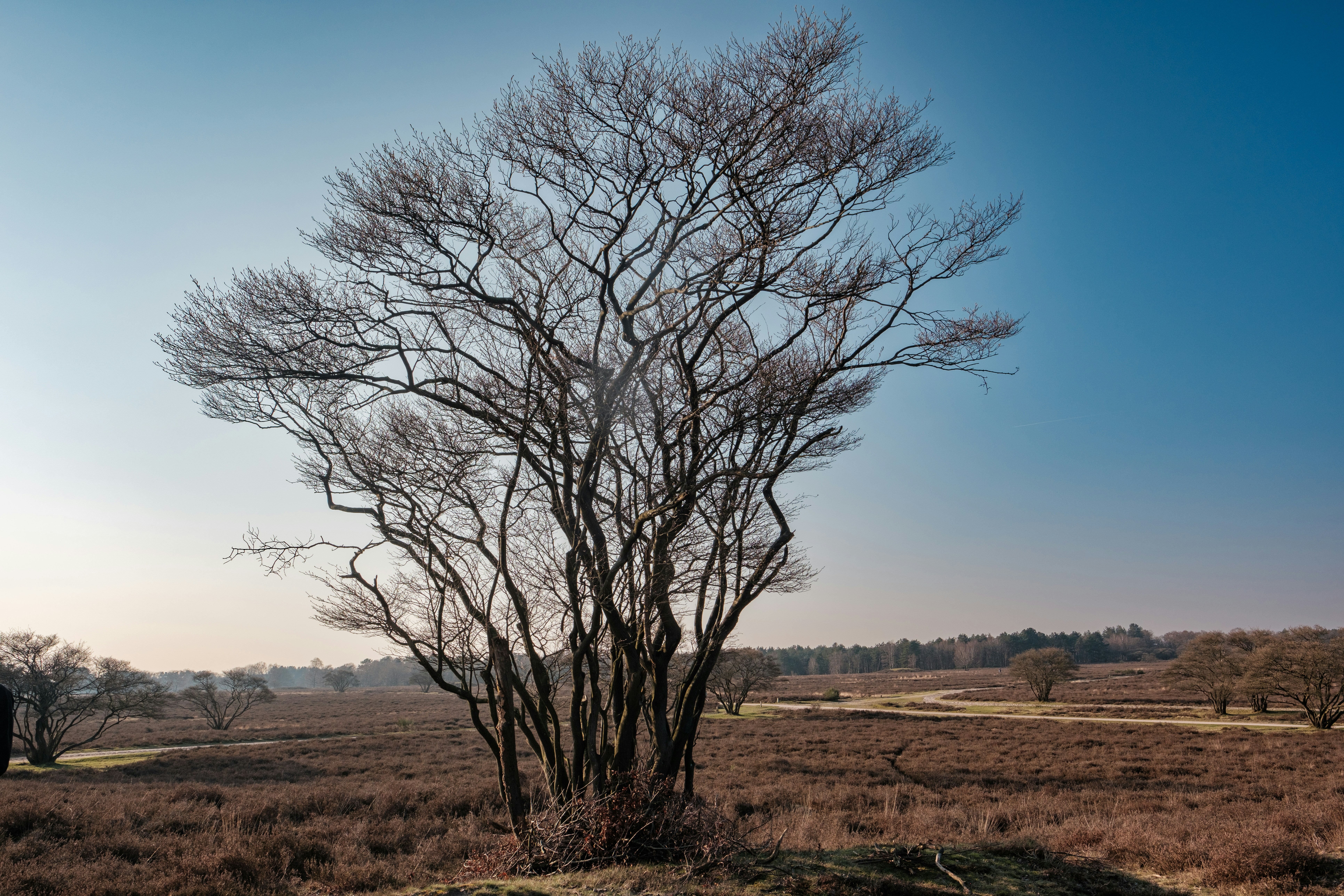 Photo by haberdoedas2