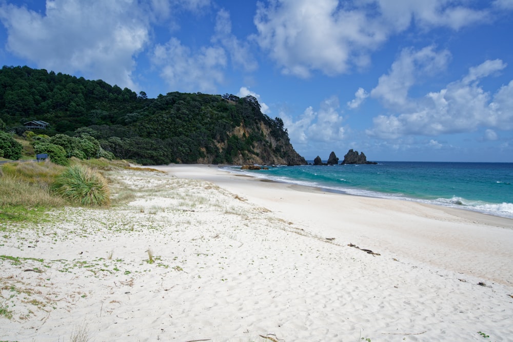 a sandy beach with a mountain in the background