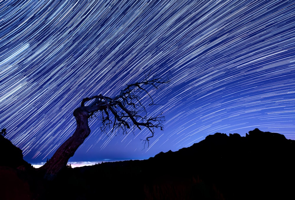 the night sky is filled with star trails