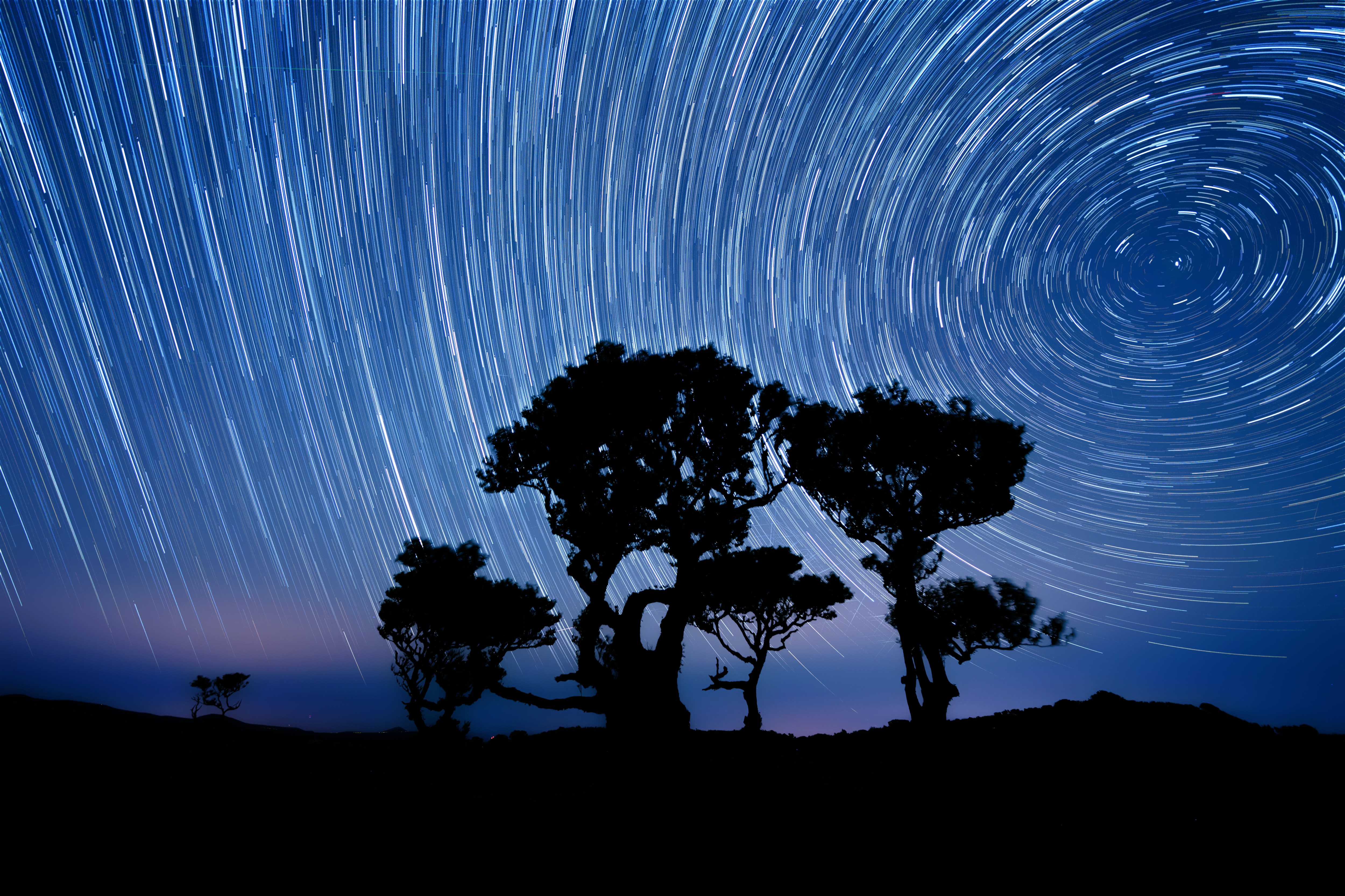 a star trail is seen in the sky above trees