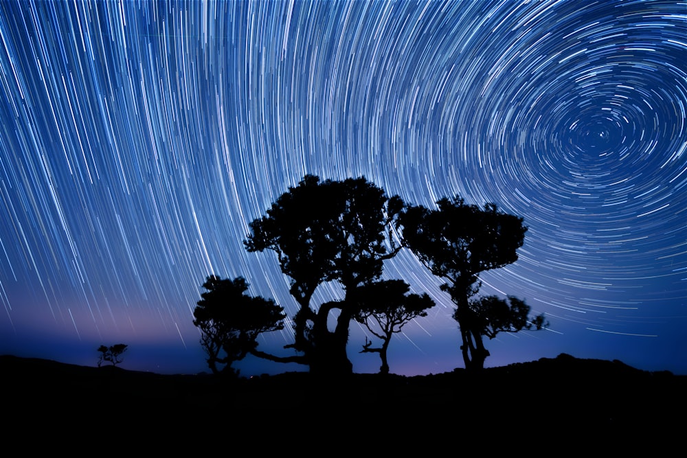 a star trail is seen in the sky above trees