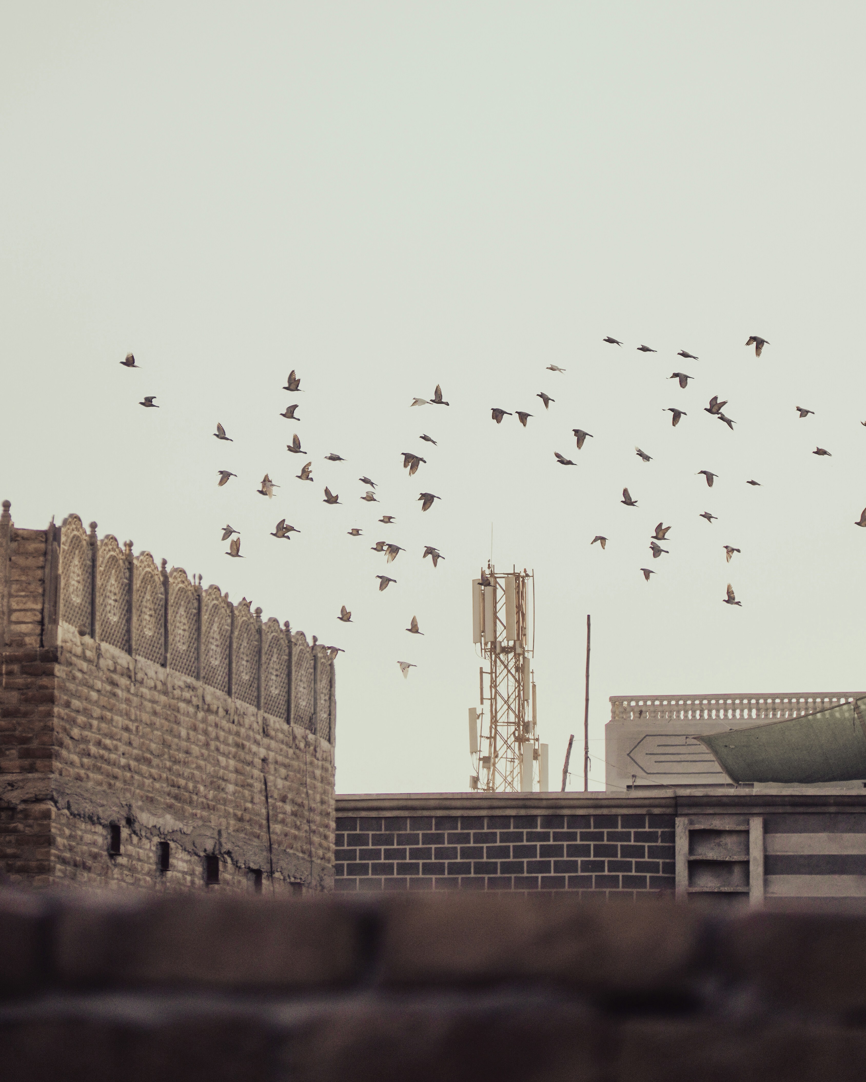 Photo by sarangbhojwani