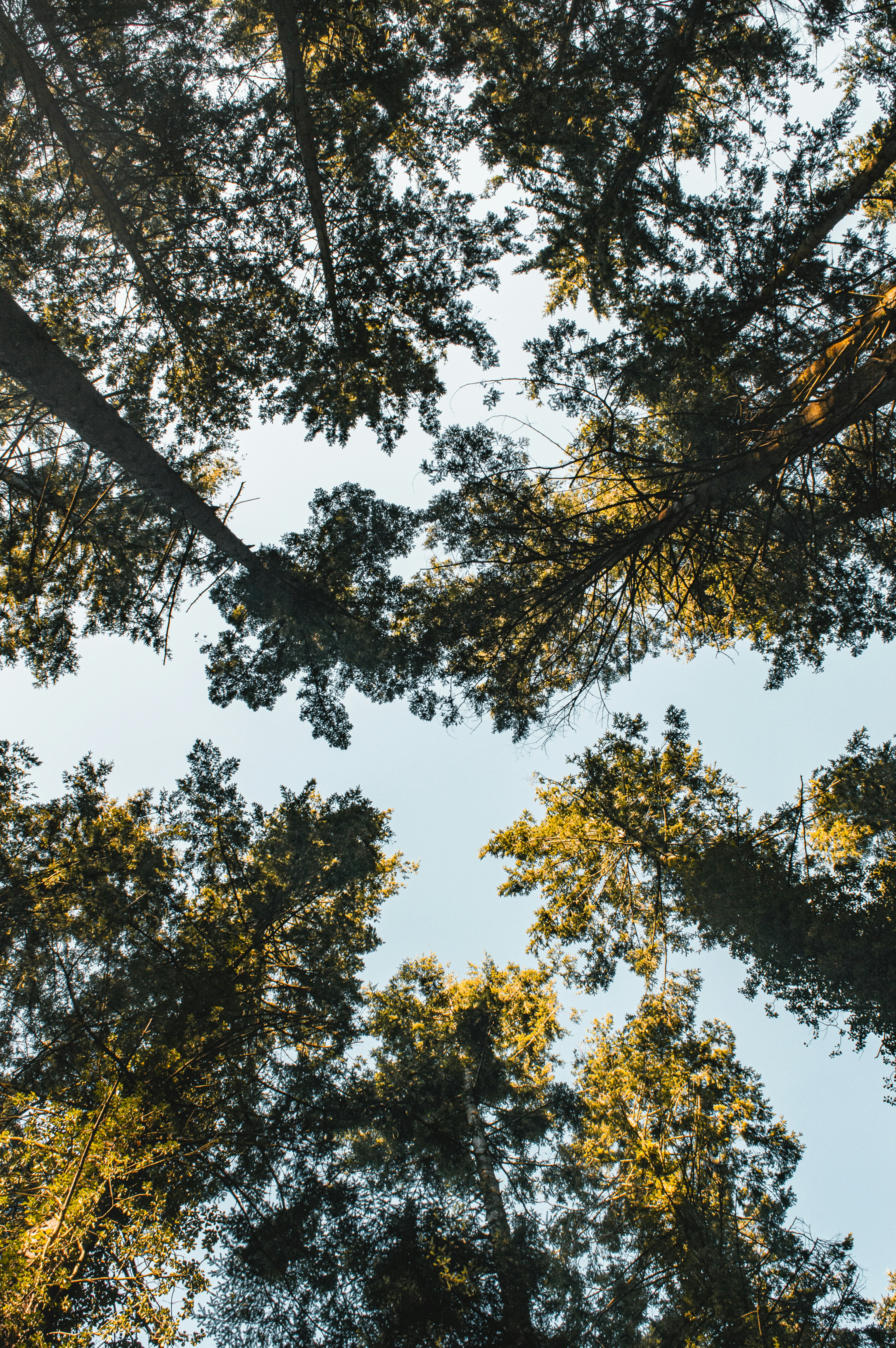 Photo by itsaroadmap