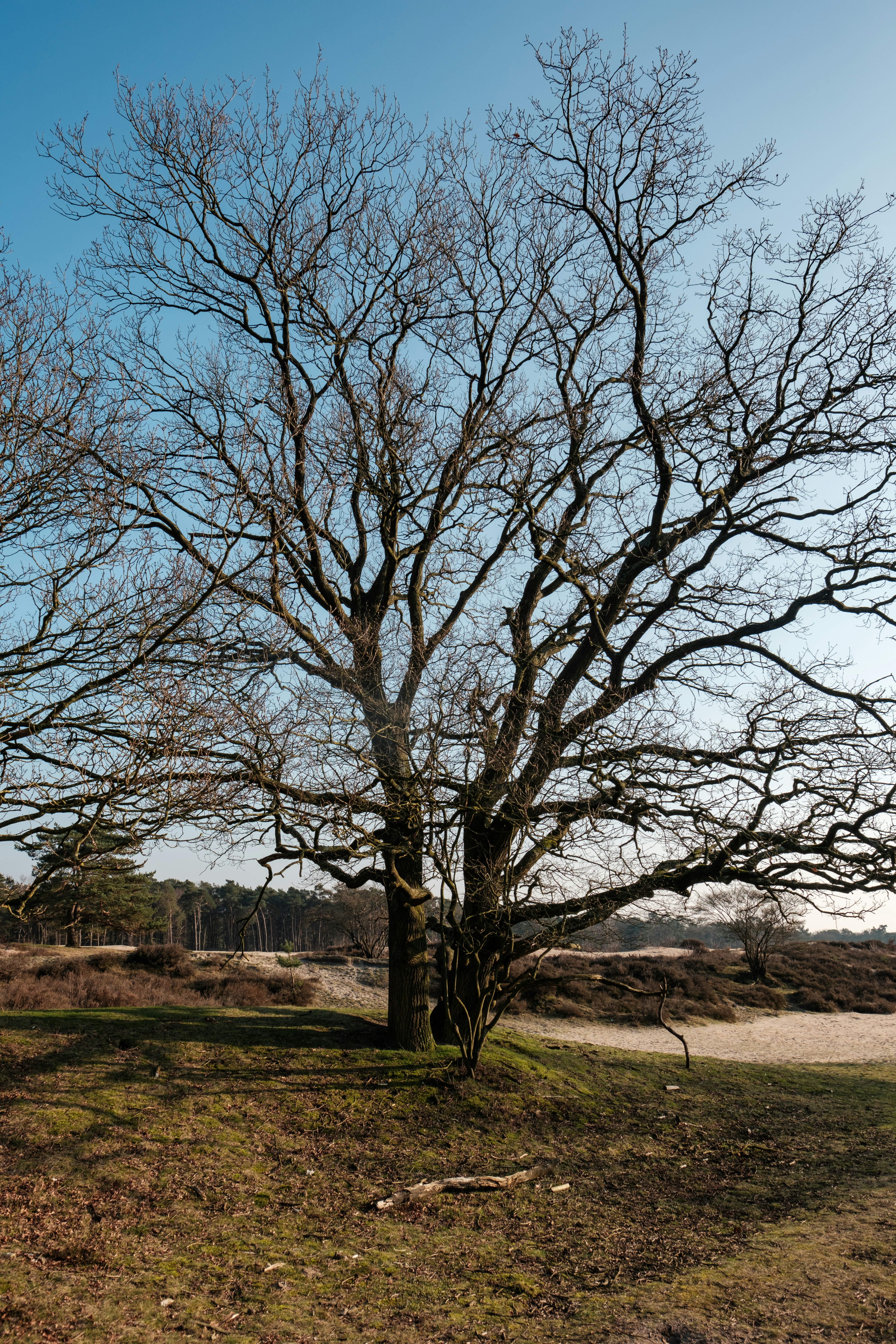 Photo by haberdoedas2