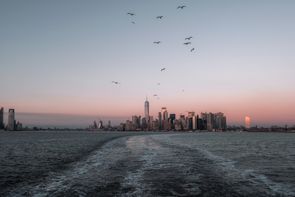 a group of birds flying over a body of water