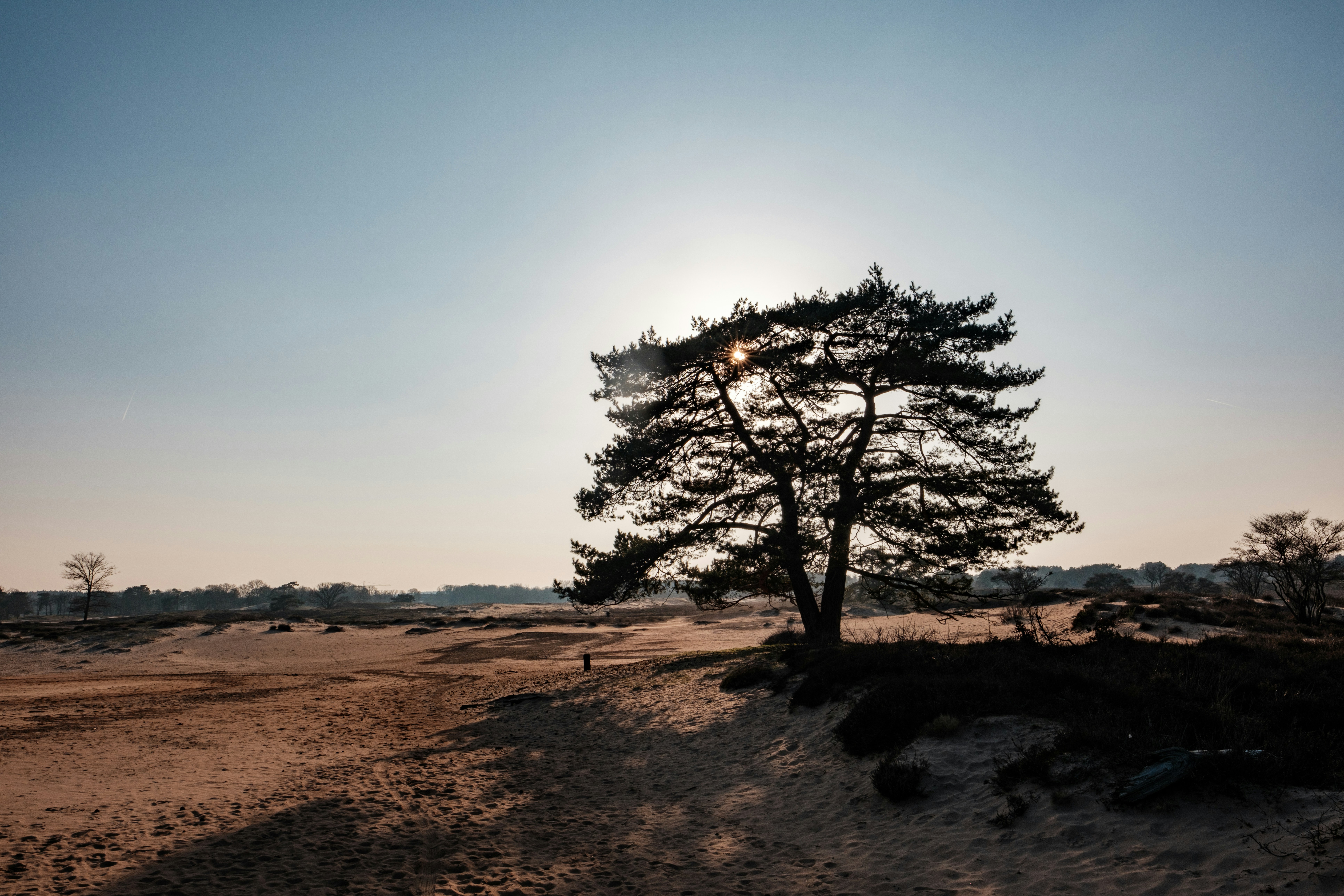 Photo by haberdoedas2