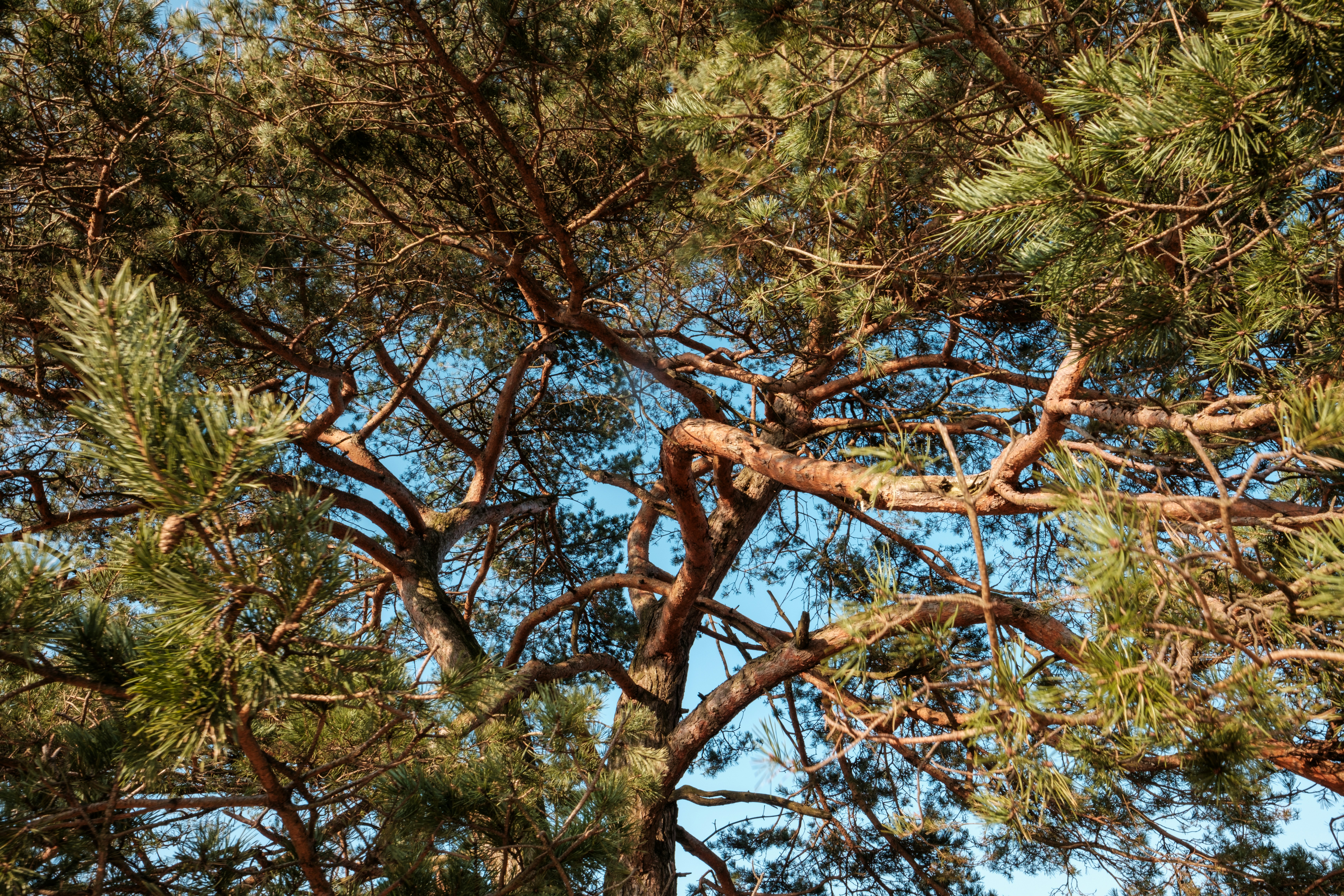 Photo by haberdoedas2