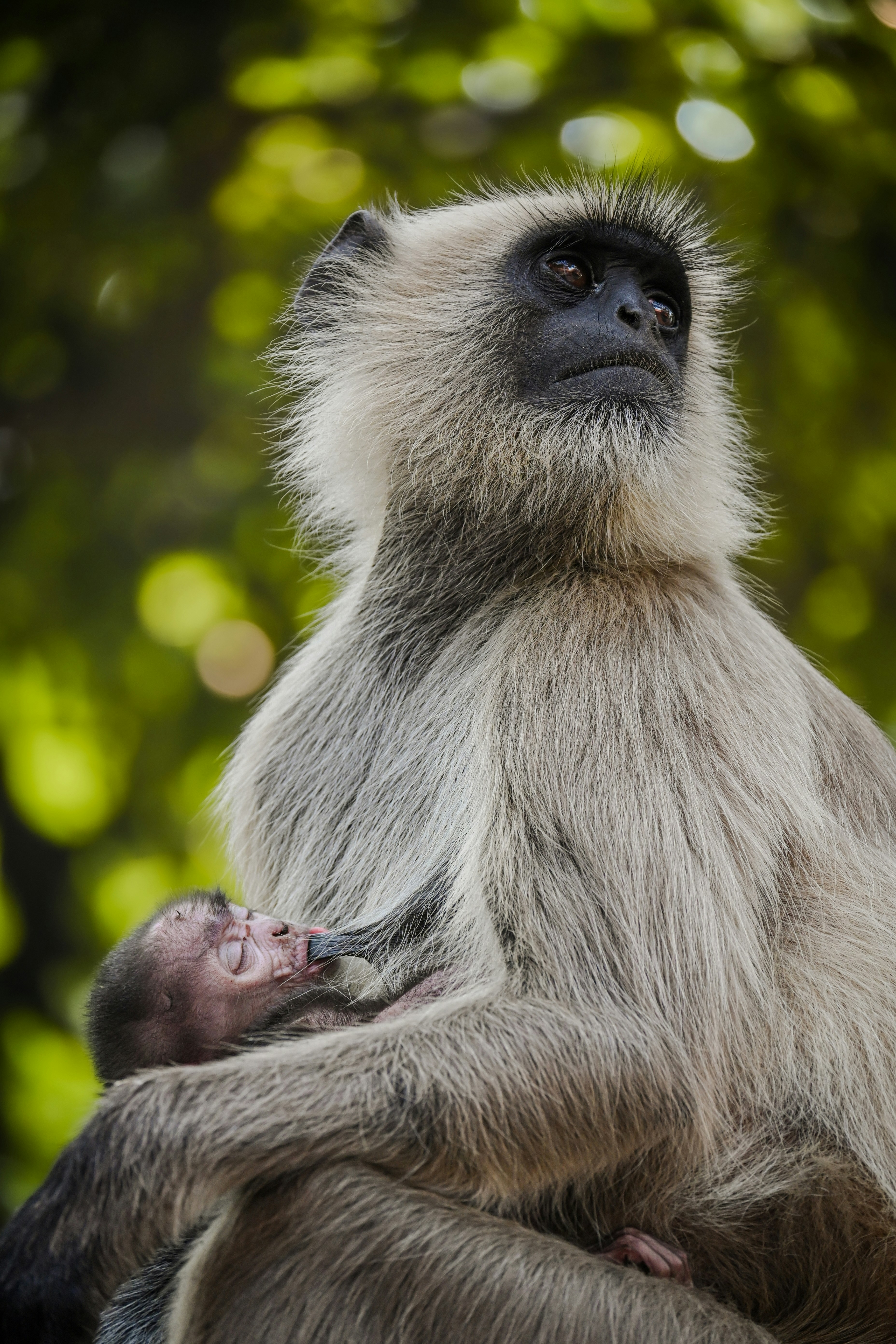 Photo by kolkatarchobiwala