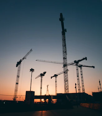 a group of cranes sitting next to each other
