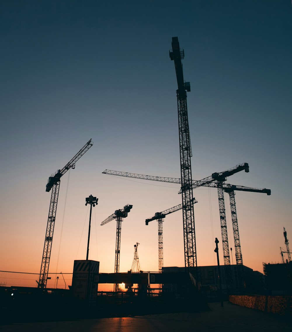 a group of cranes sitting next to each other