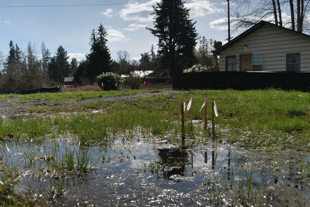 Water standing across a residential yard beside a house after heavy rain
