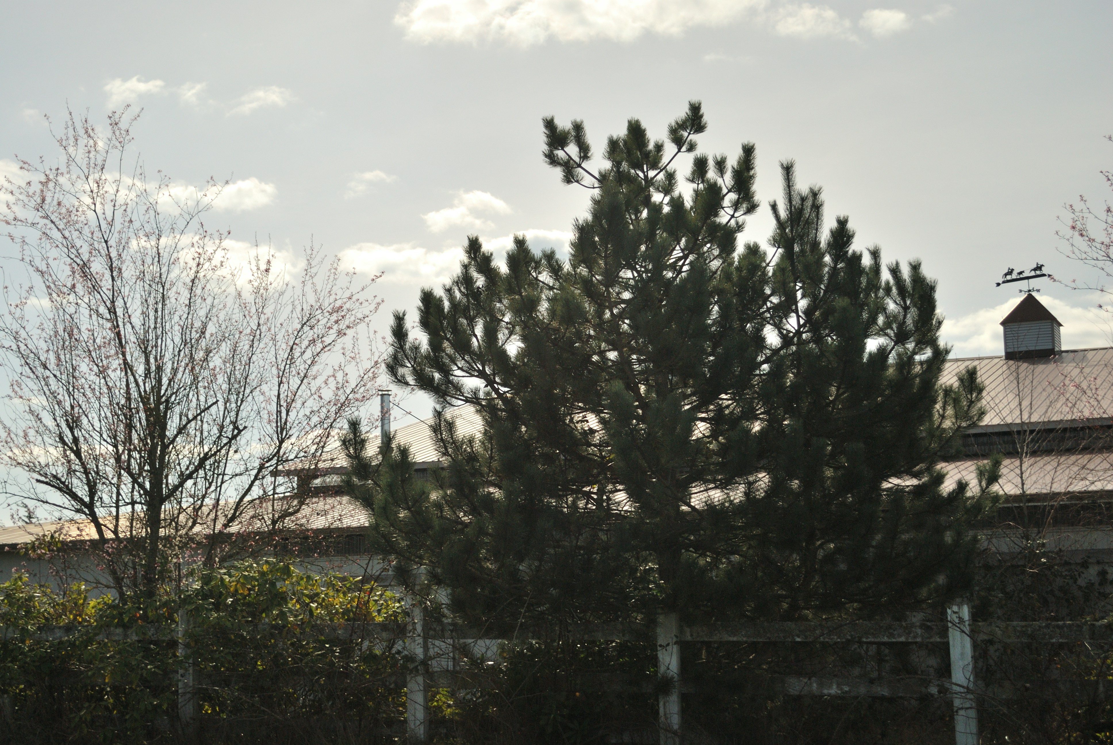 Photo by akertree11
