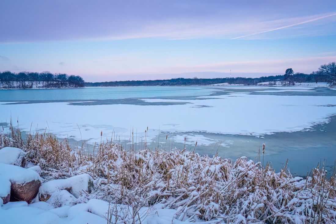 Zamarznięte jezioro o świcie