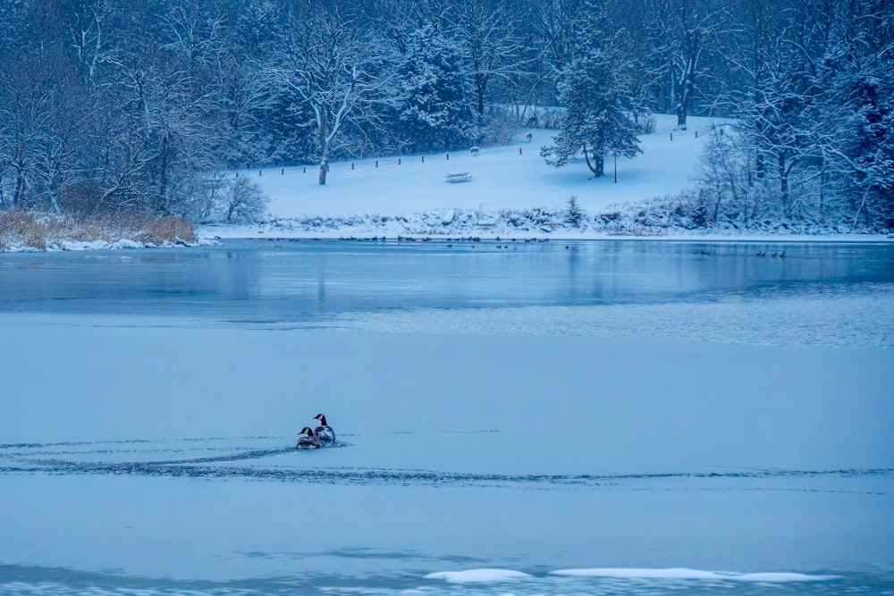 a person on a snowmobile in the middle of a lake