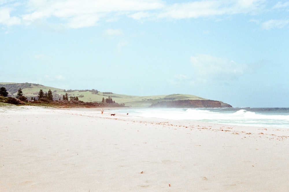 a person walking on a beach with a surfboard