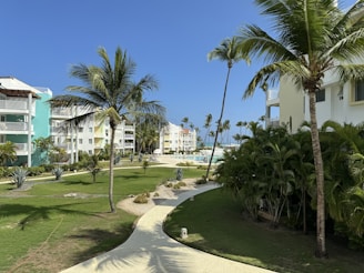 a pathway leading to a beach with palm trees