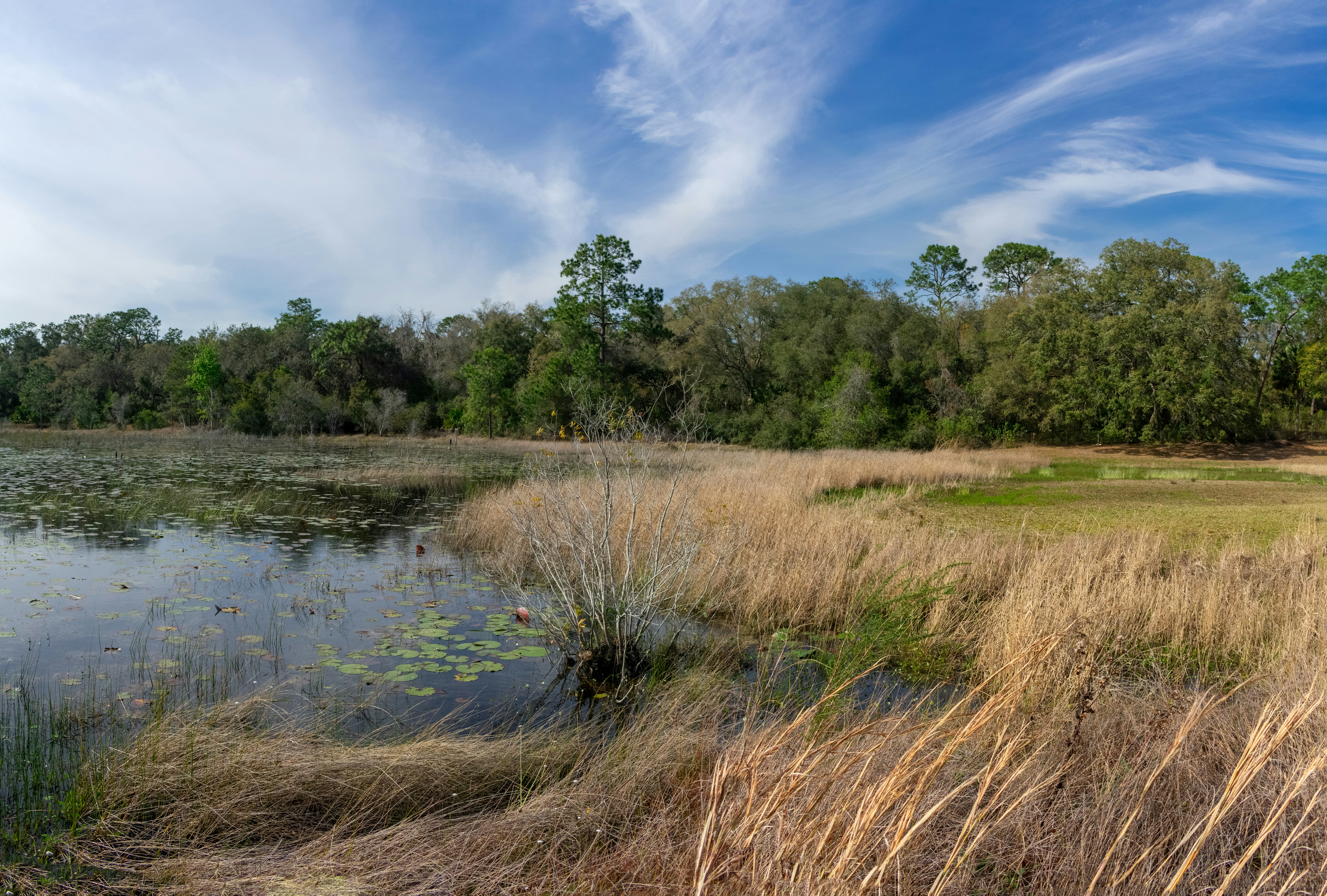 Photo by astro_civil