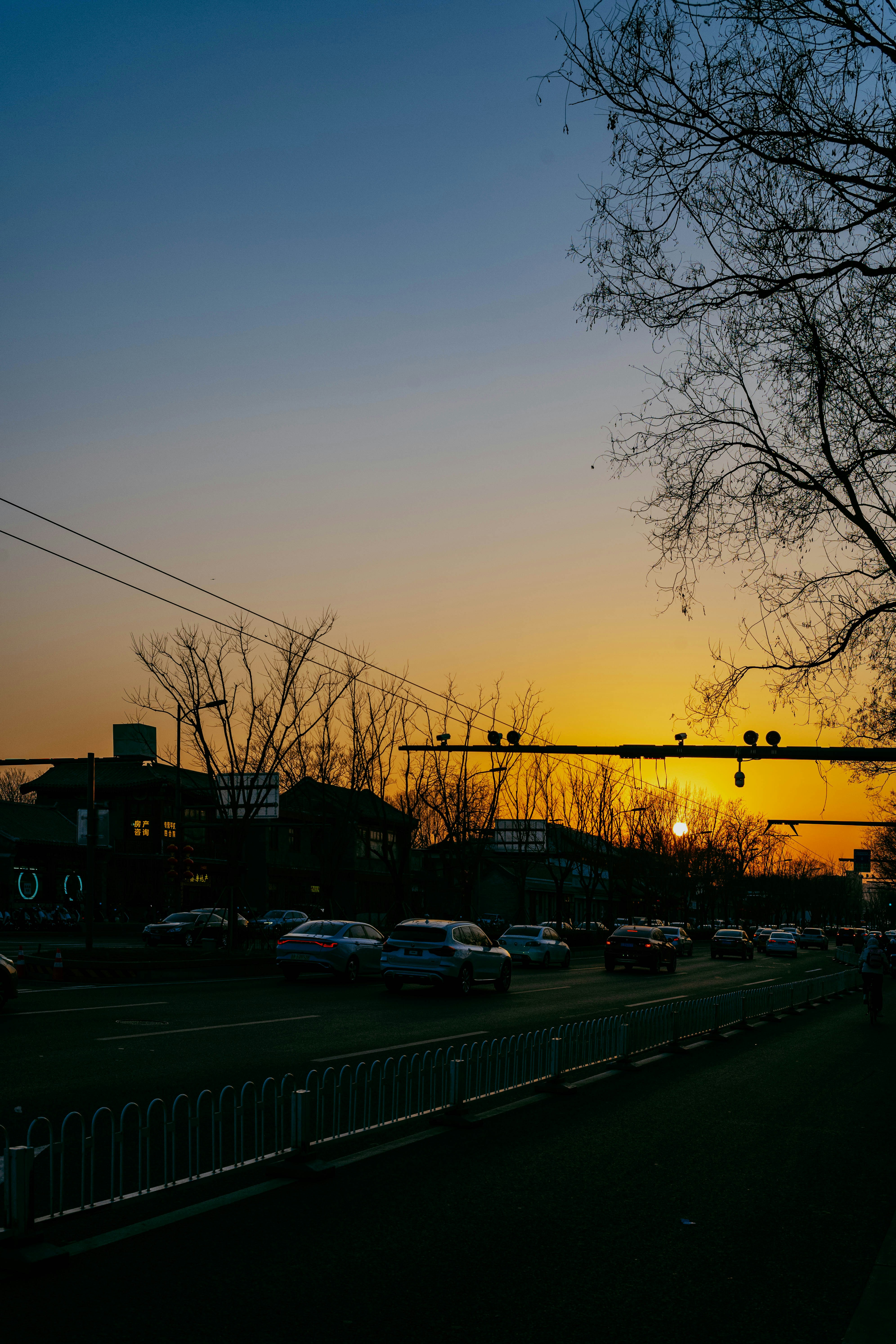 Photo by tommaomaoer
