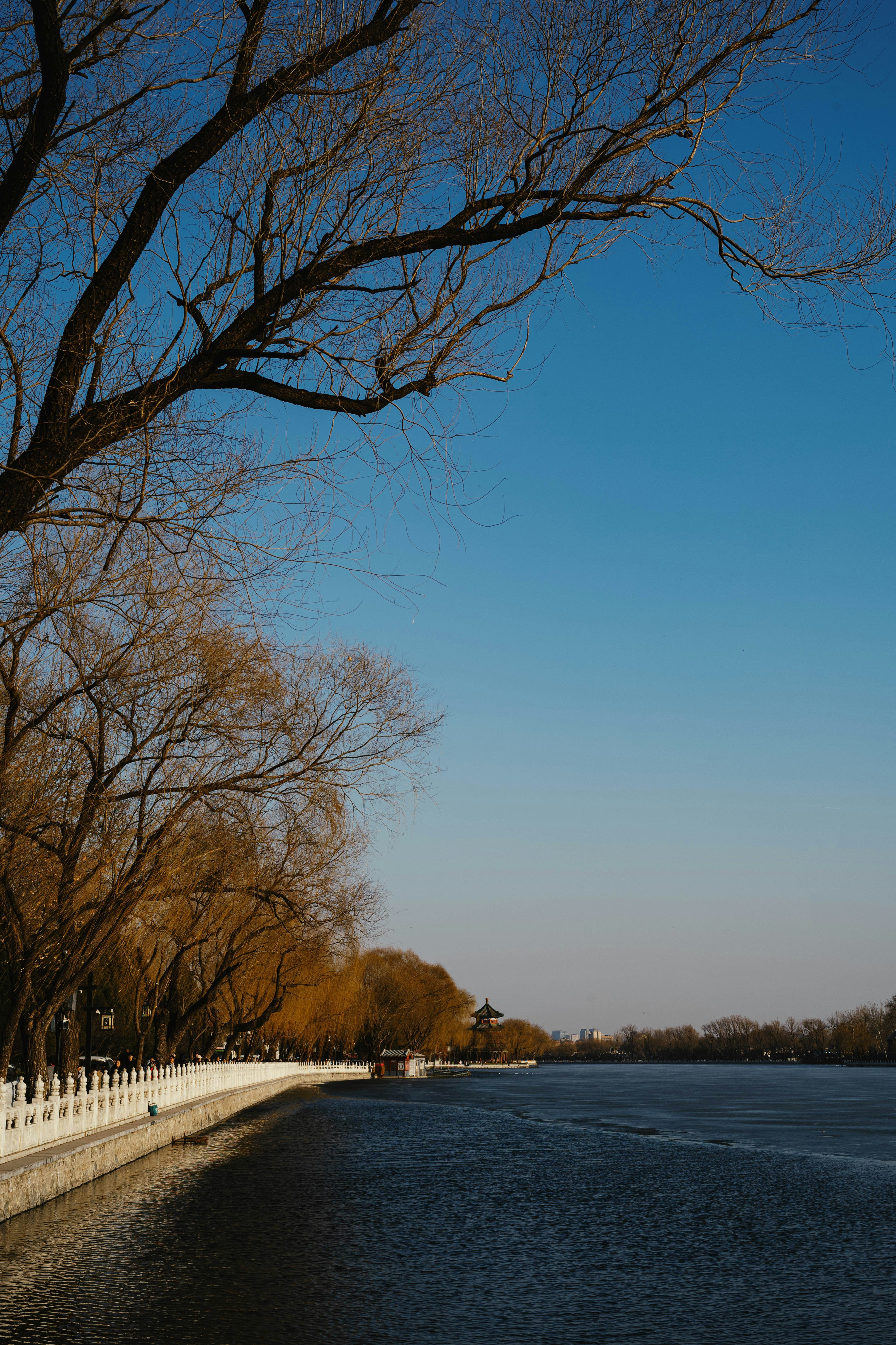 Photo by tommaomaoer