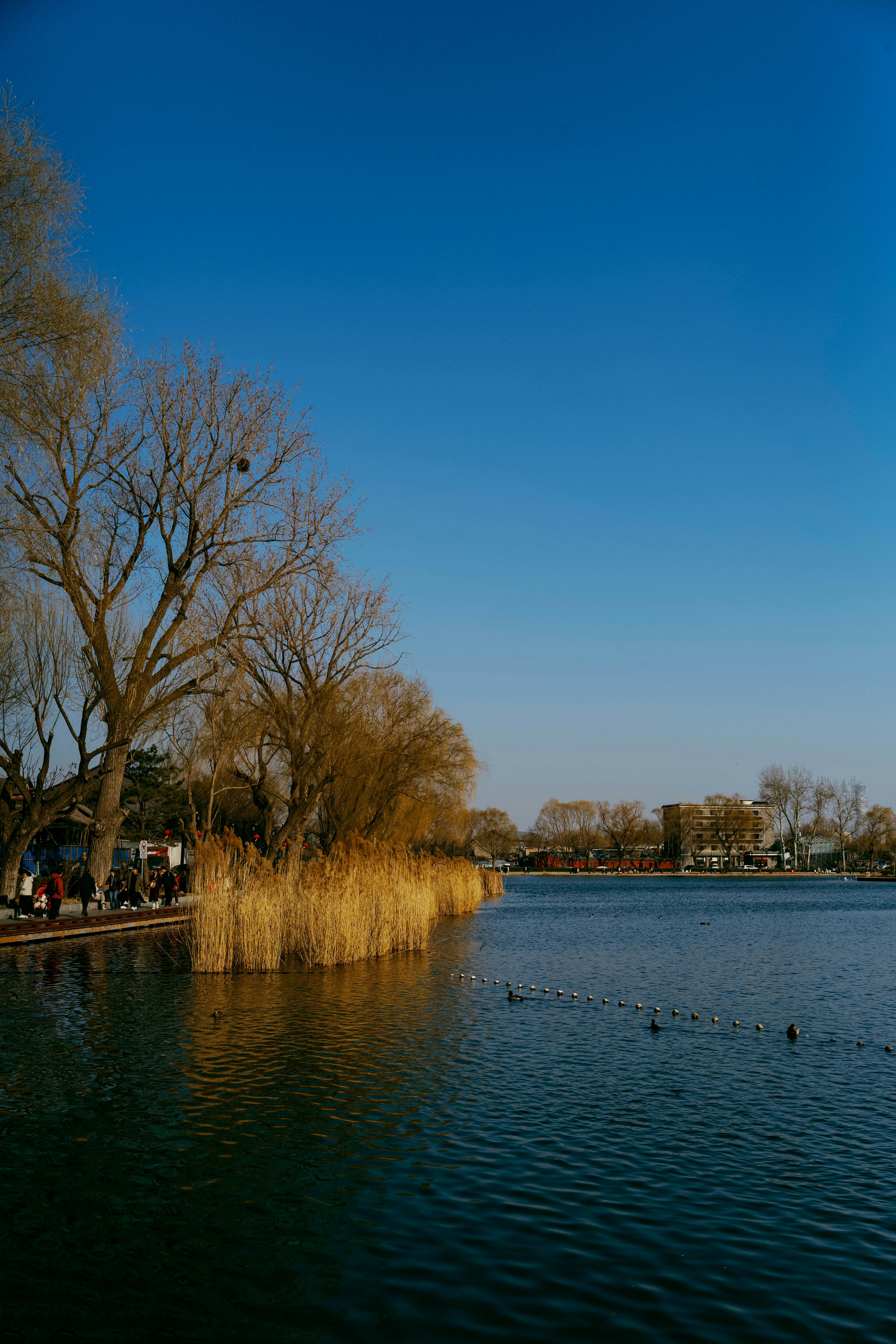 Photo by tommaomaoer