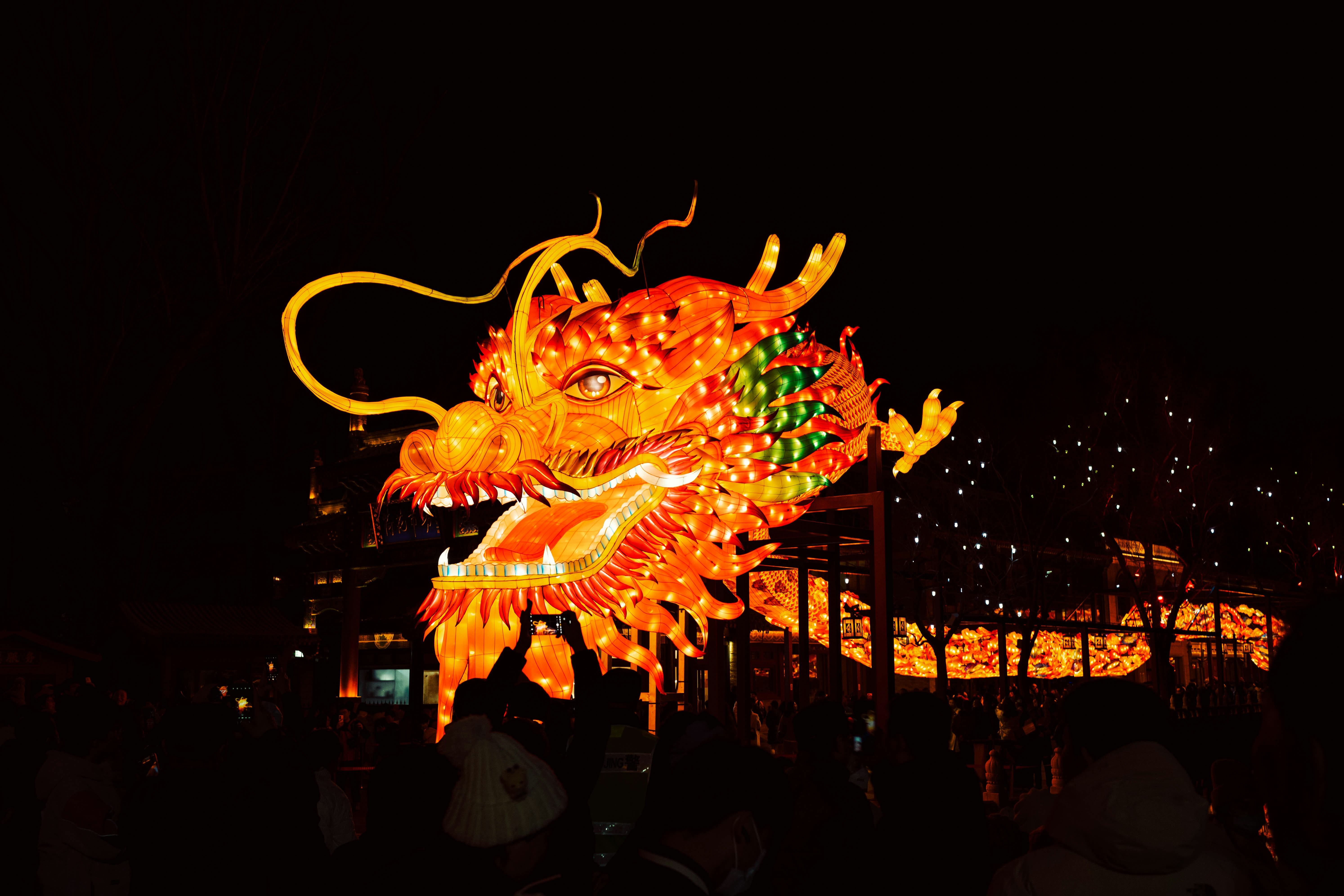 Photo by tommaomaoer