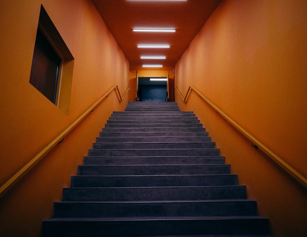 Un conjunto de escaleras que conducen a una puerta