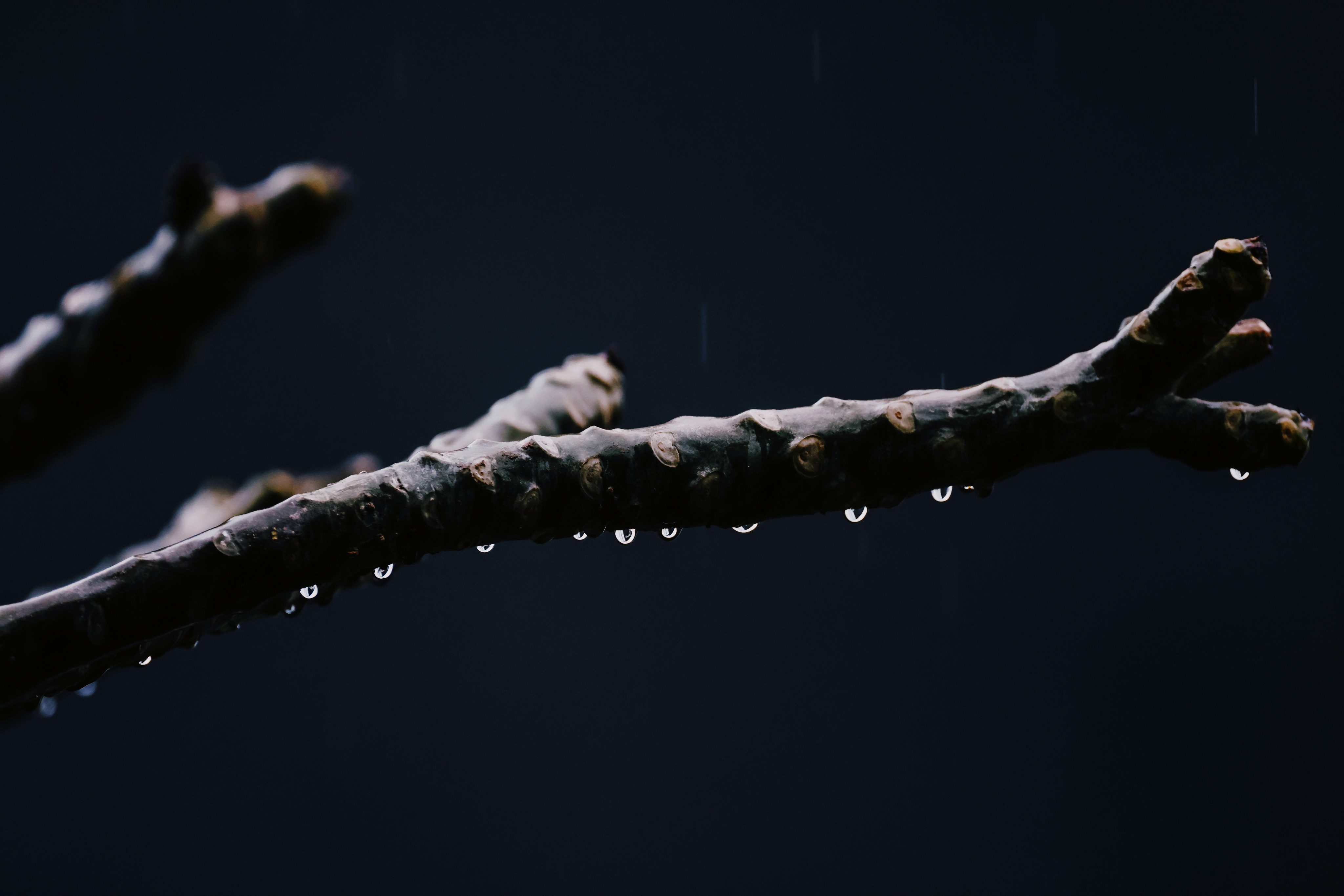 Photo by dickenslin76