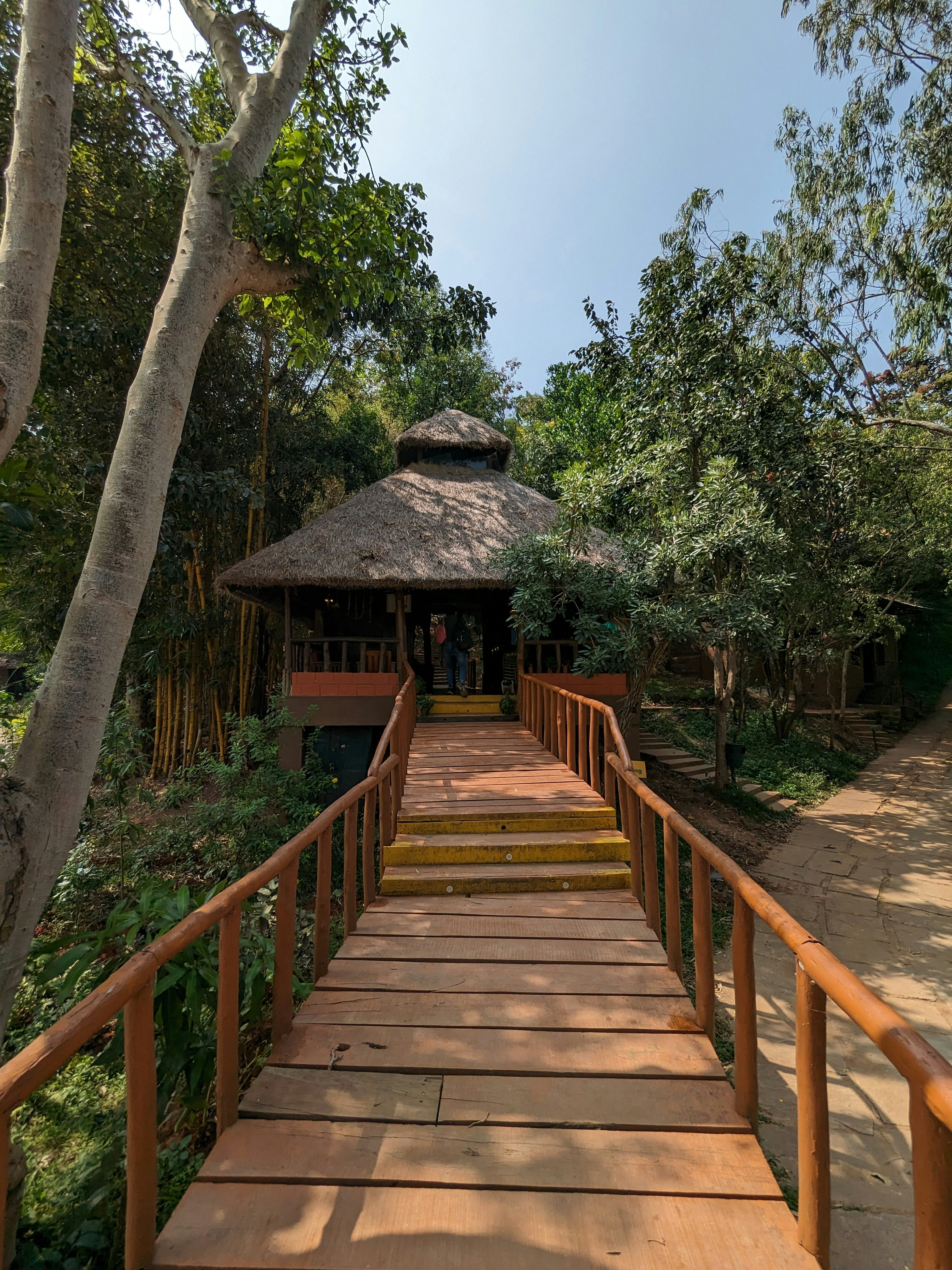 woman wearing yellow long-sleeved dress under white clouds and blue sky during daytime