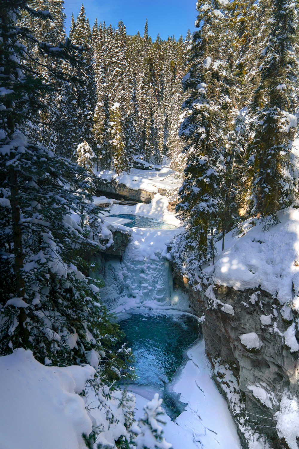 a river running through a snow covered forest