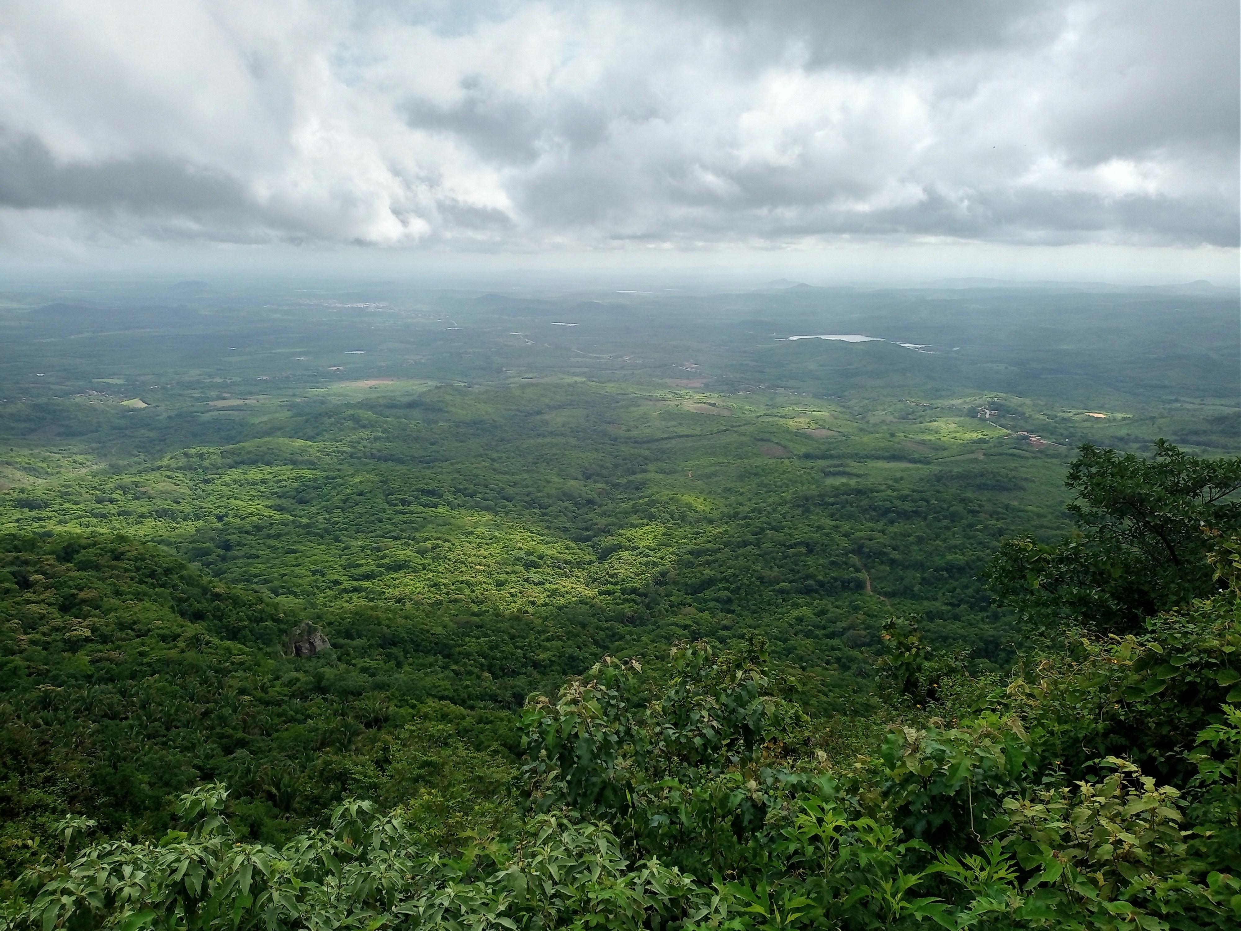 Yala National Park (Tissa), Sri Lanka - None