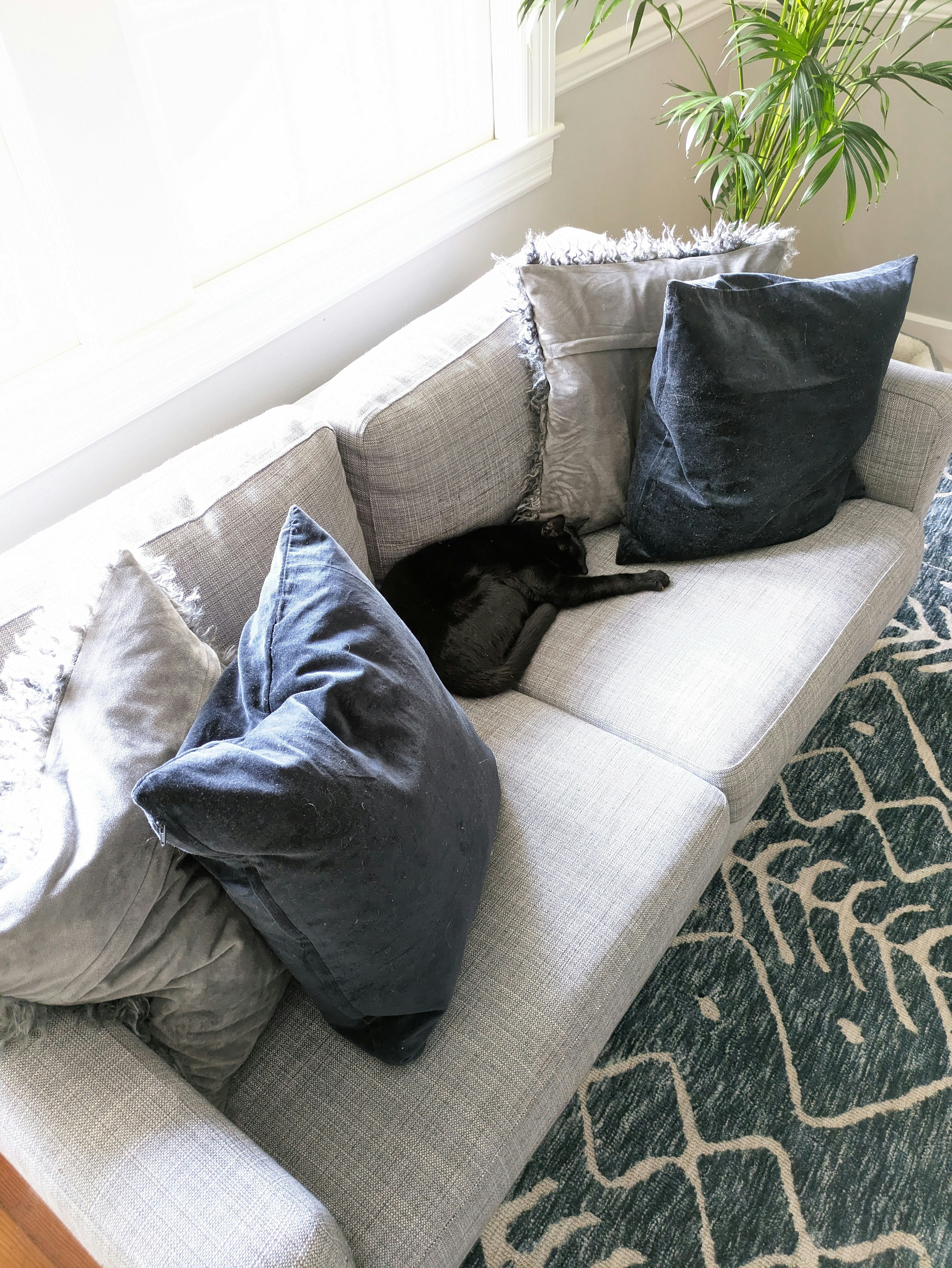 Photo by mistermoman