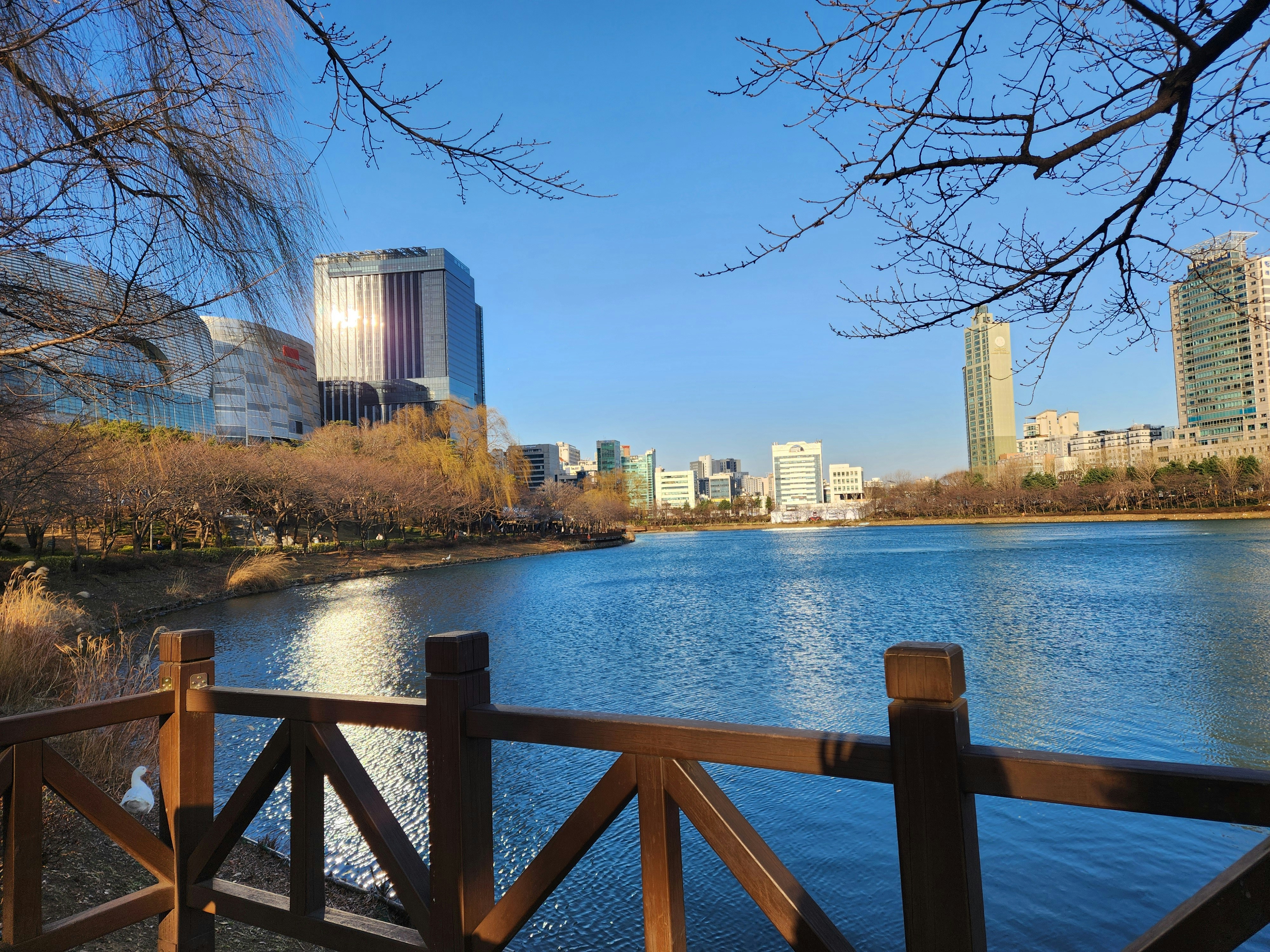 Photo by chae_won_cw