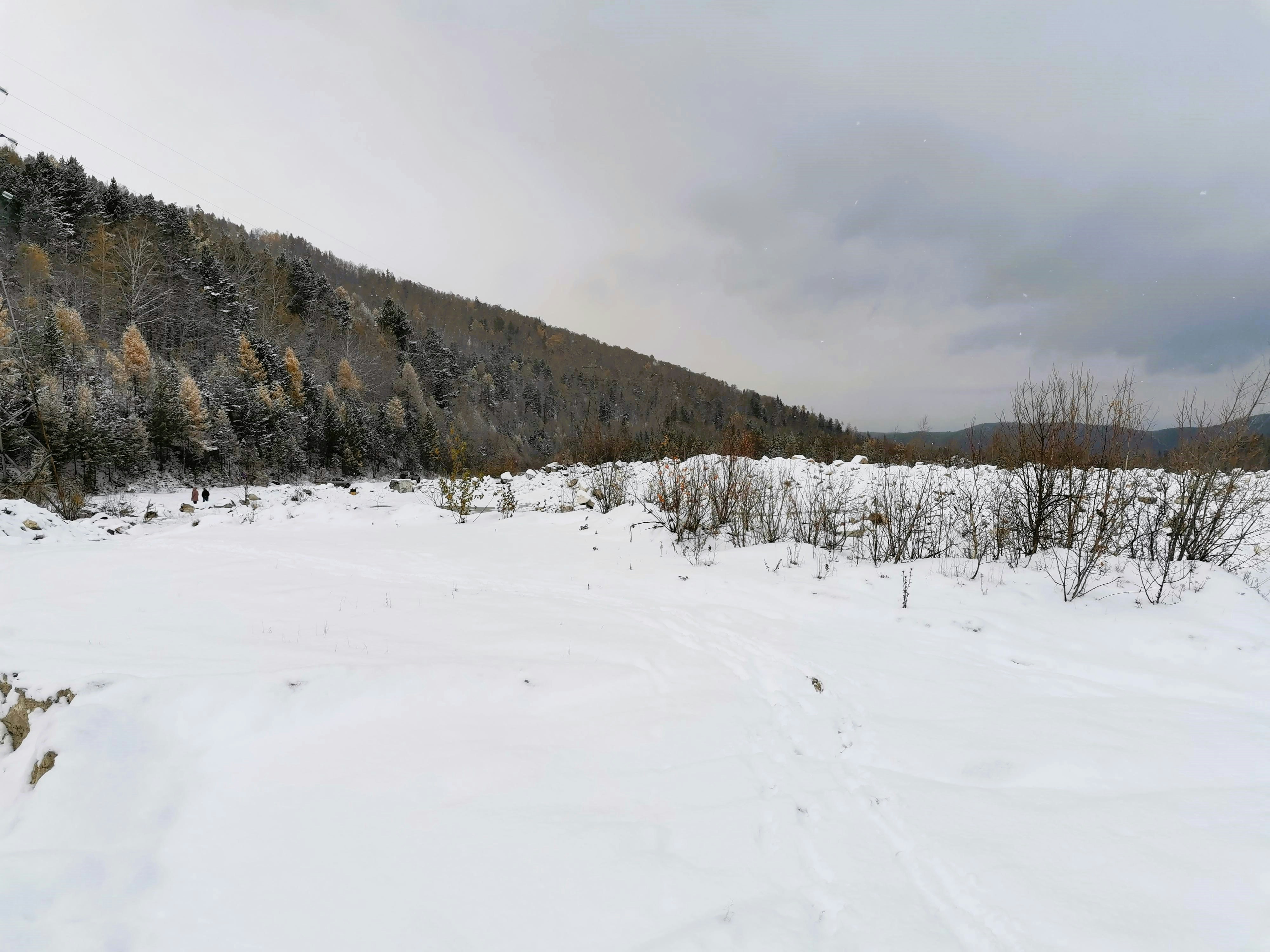 Photo by viktorozolin