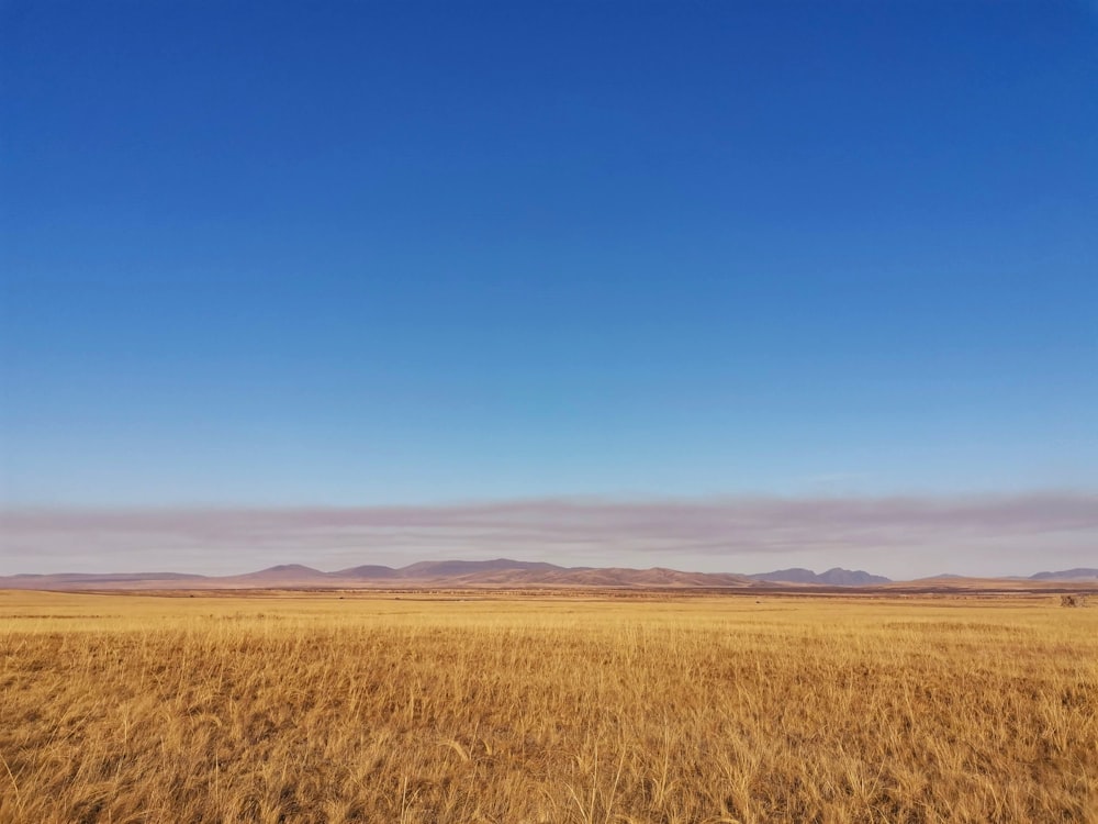 a large open field with mountains in the distance