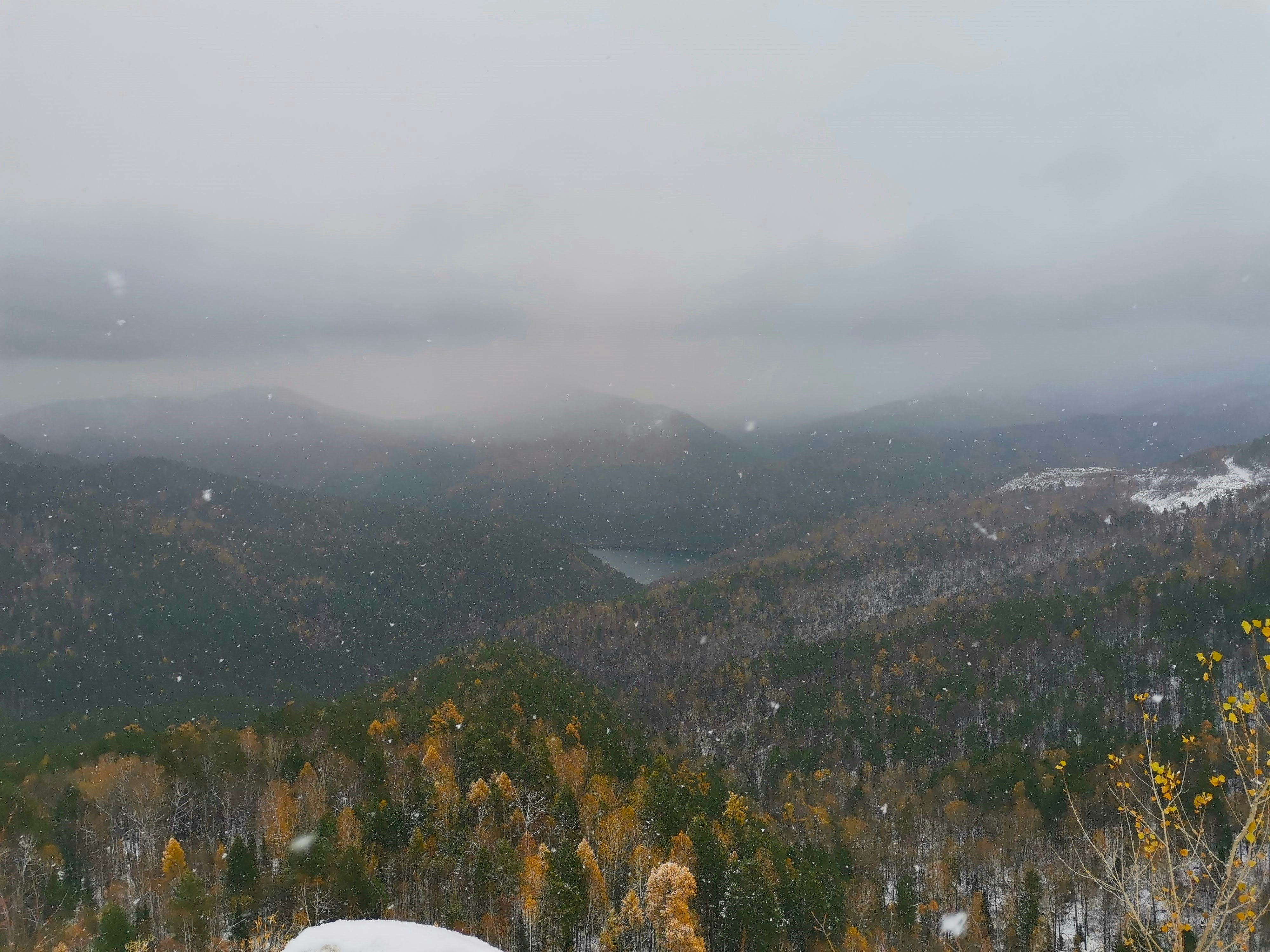 Photo by viktorozolin