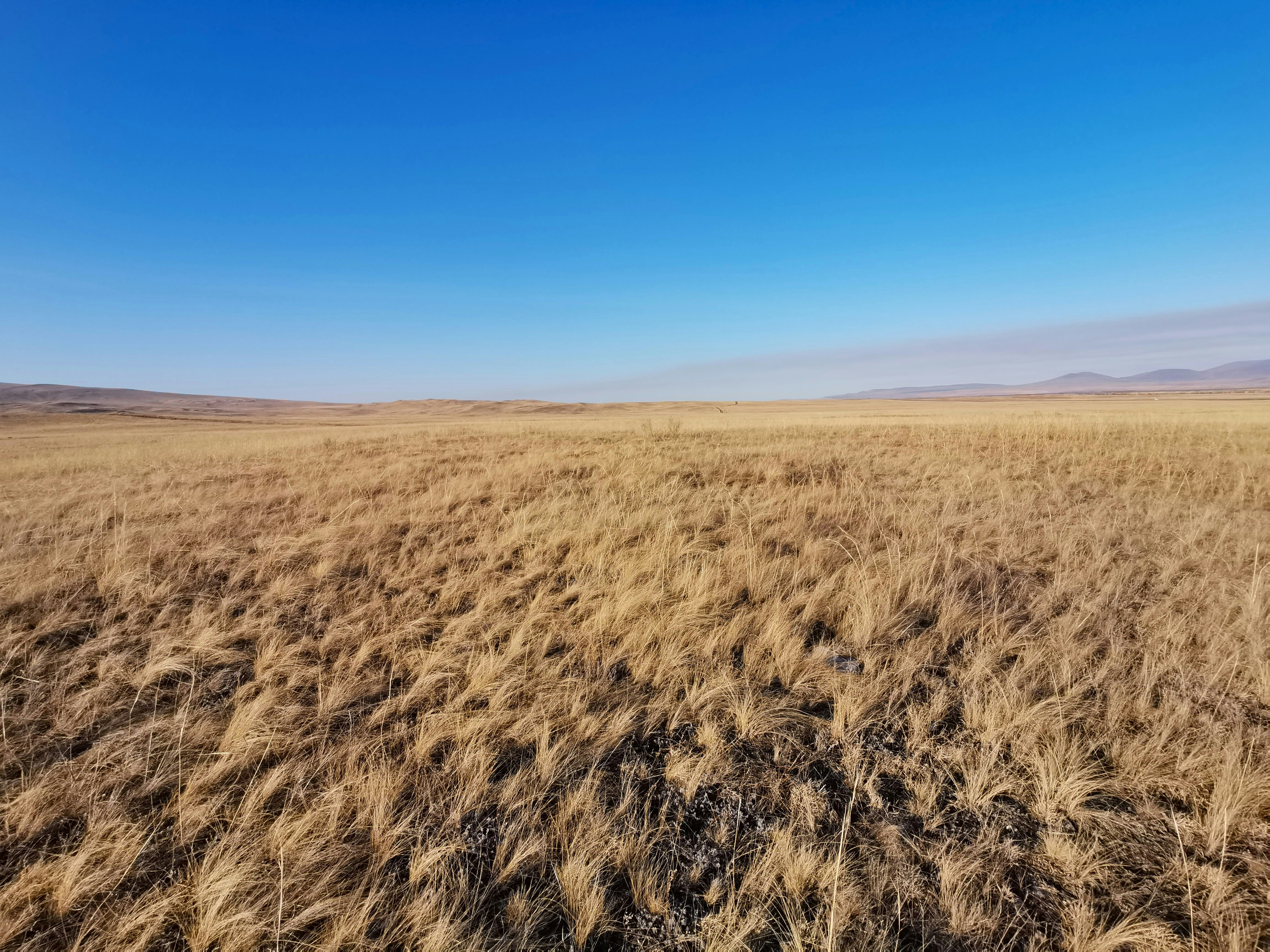 Photo by viktorozolin