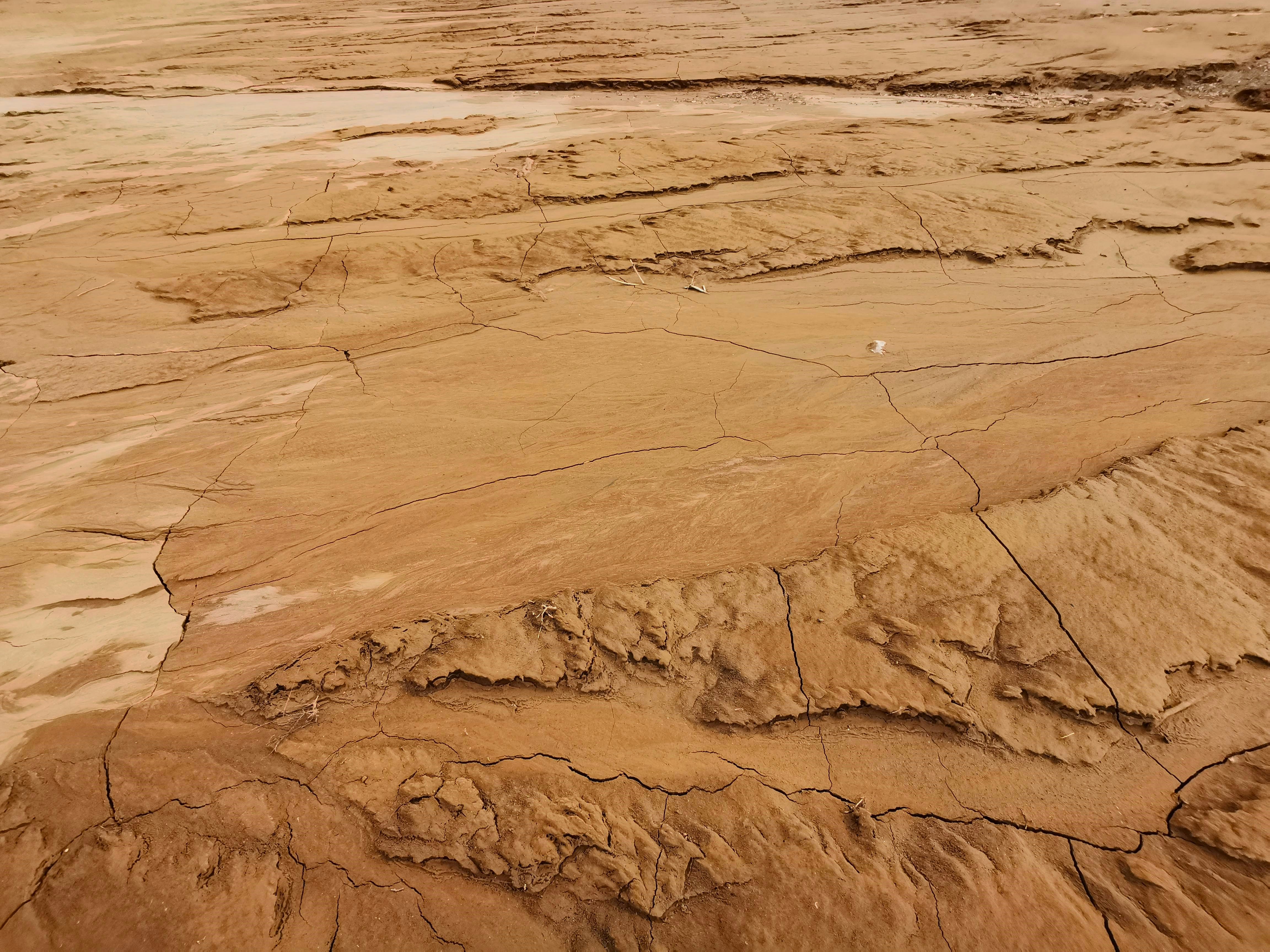 Photo by viktorozolin