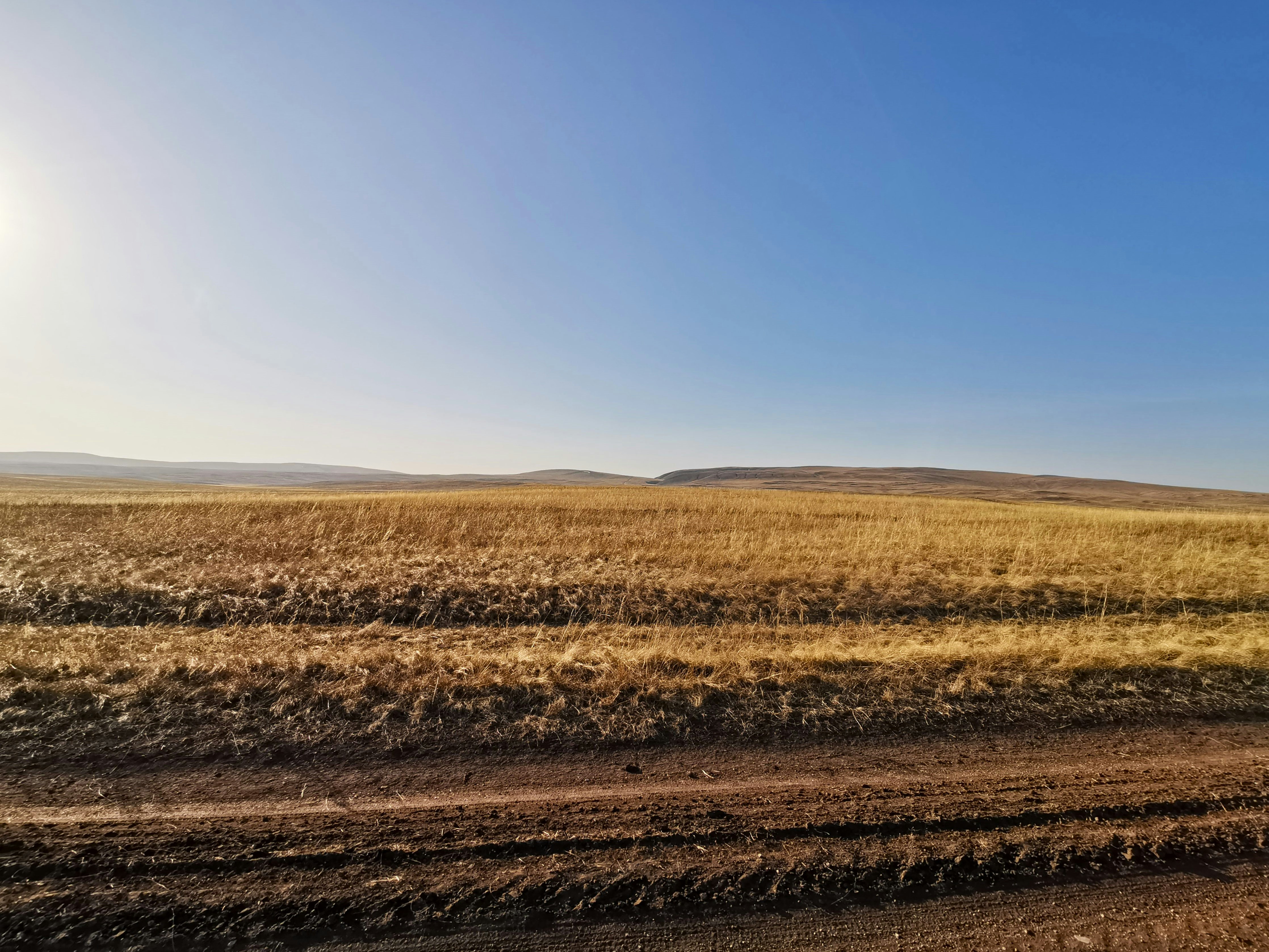 Photo by viktorozolin